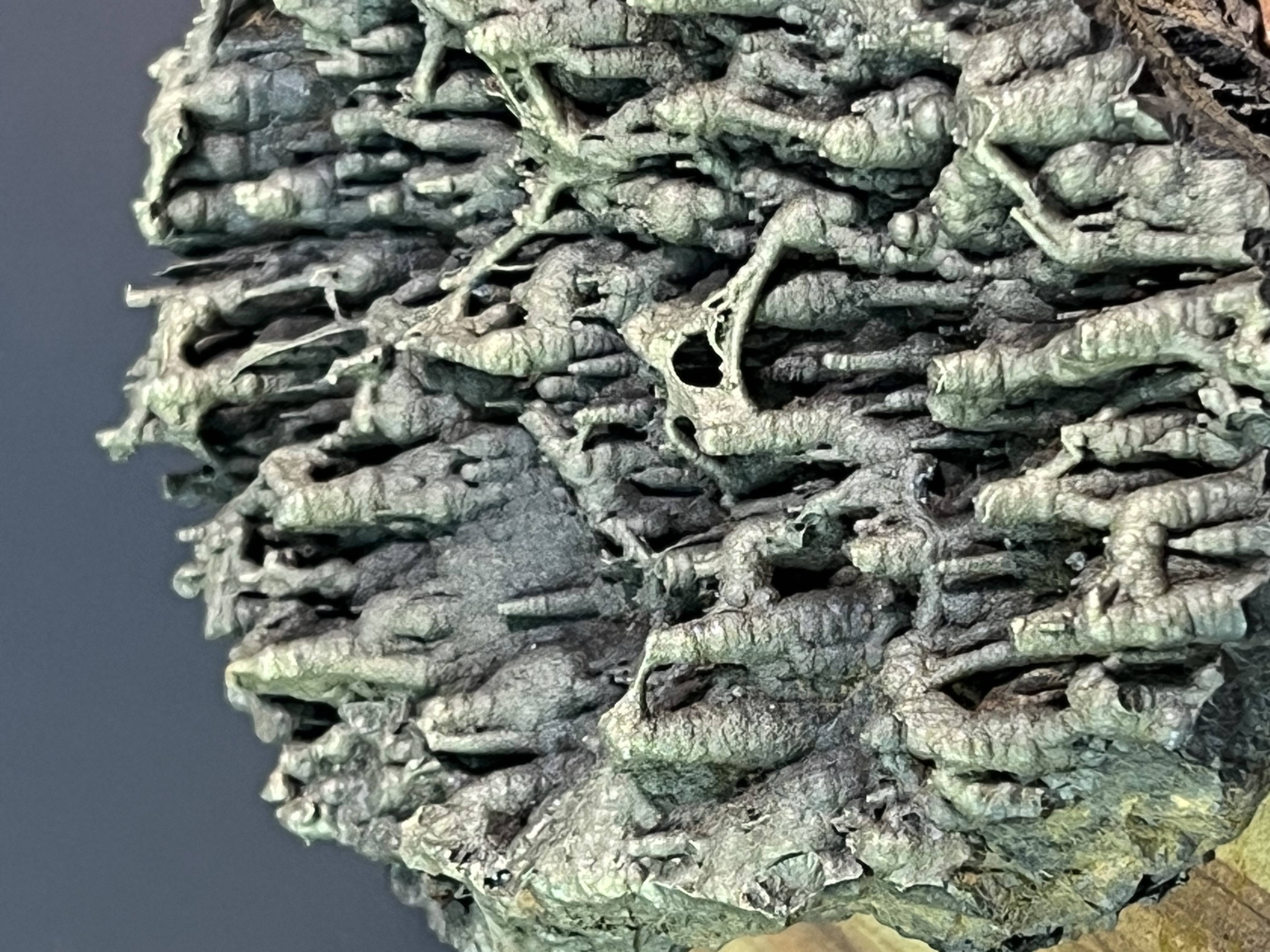 Museum Quality Special Formation Golden Color Stalactite Bridges Goethite 