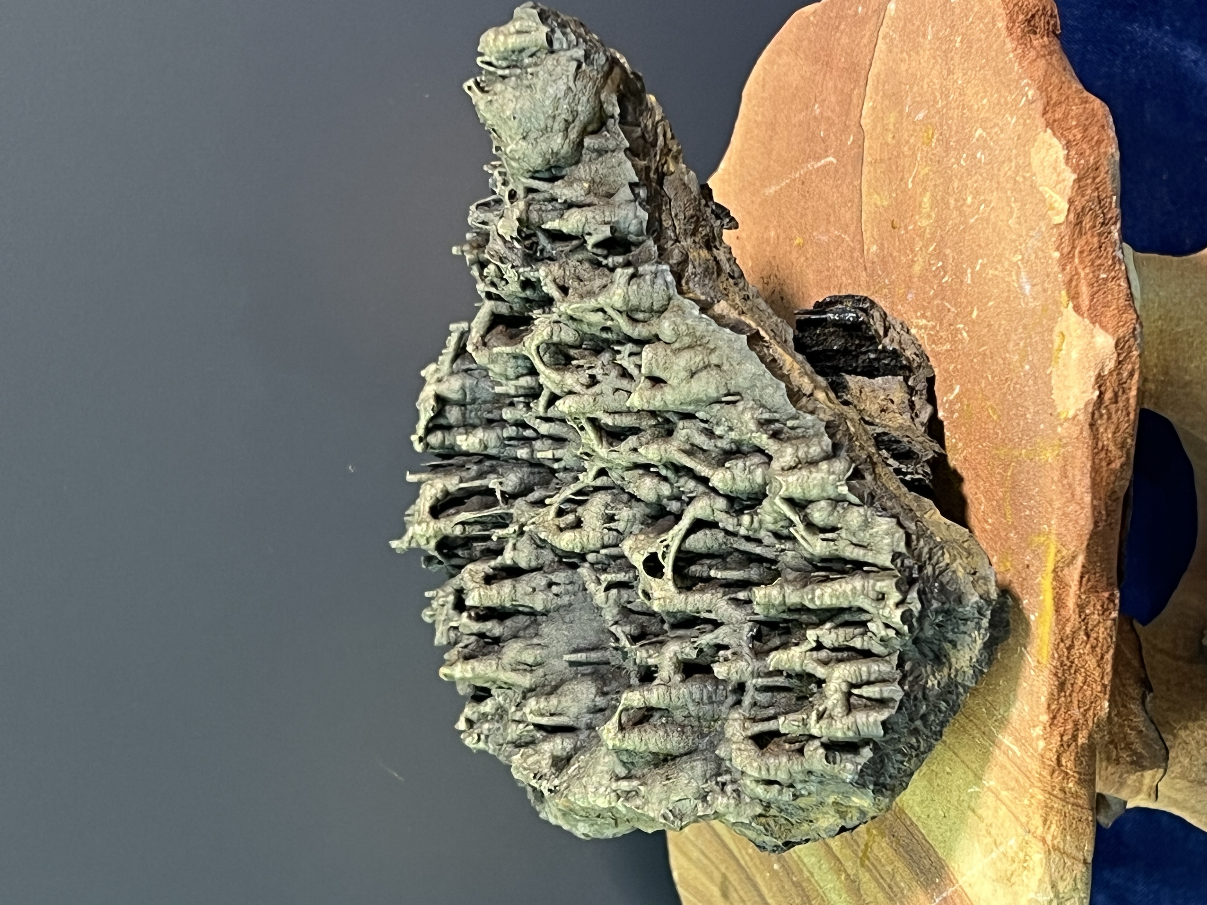 Museum Quality Special Formation Golden Color Stalactite Bridges Goethite 