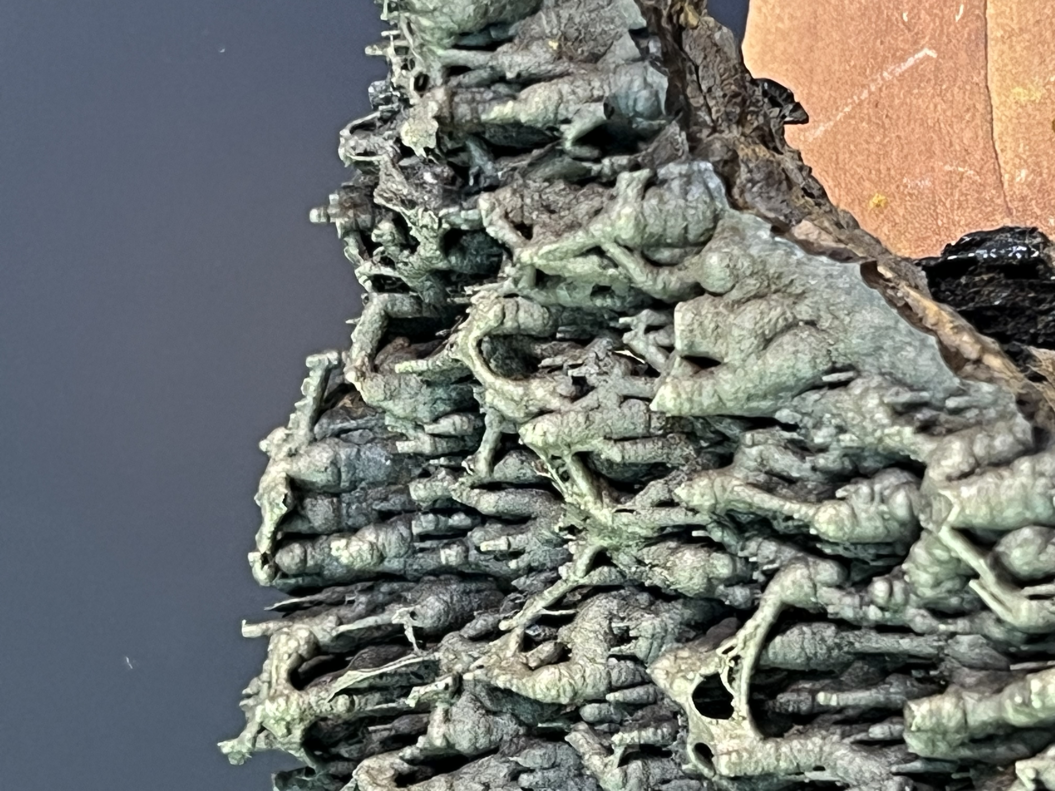 Museum Quality Special Formation Golden Color Stalactite Bridges Goethite 