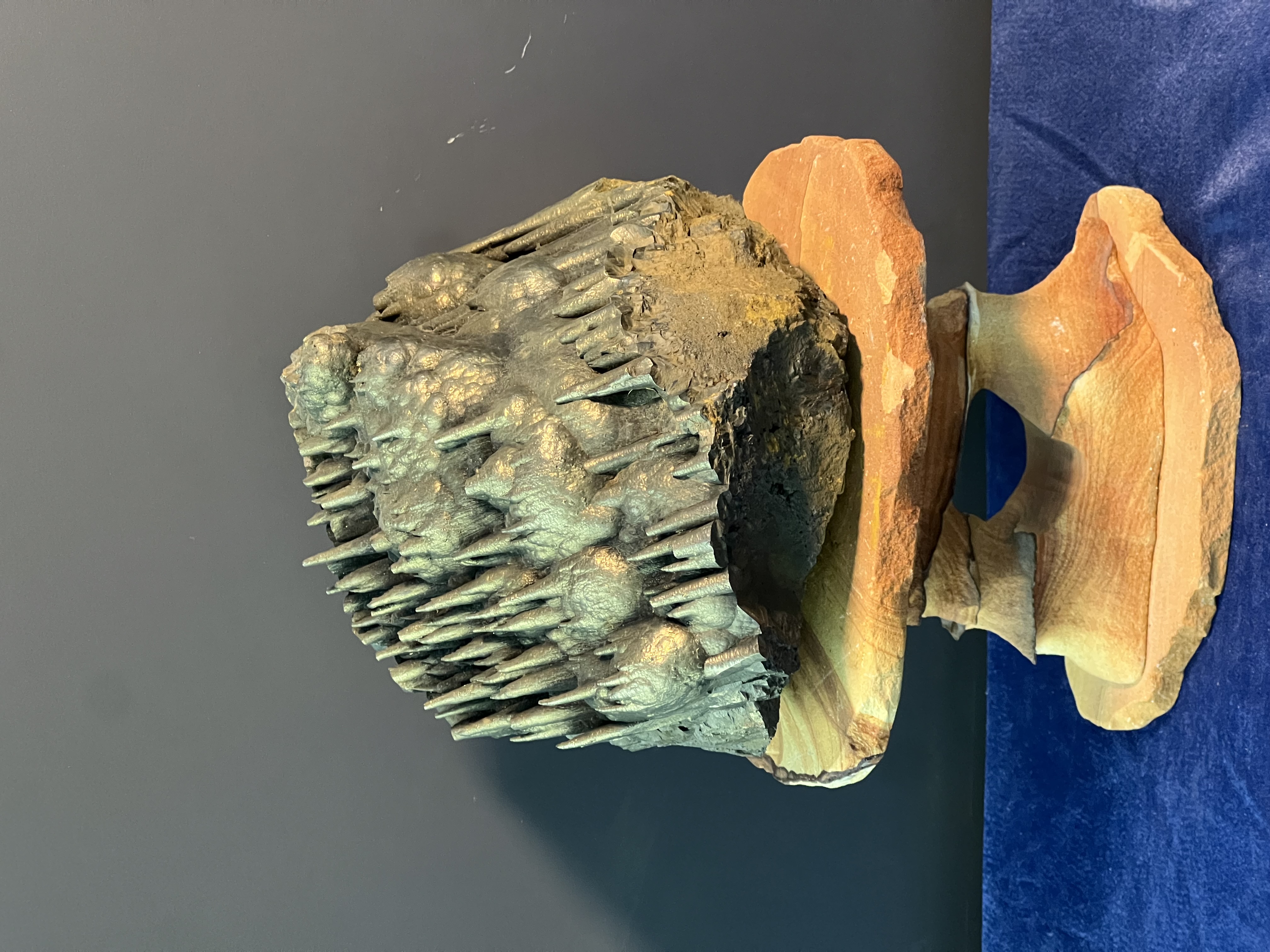 Museum Quality Very Special Golden Color Stalactite Goethite, For Special Collection 