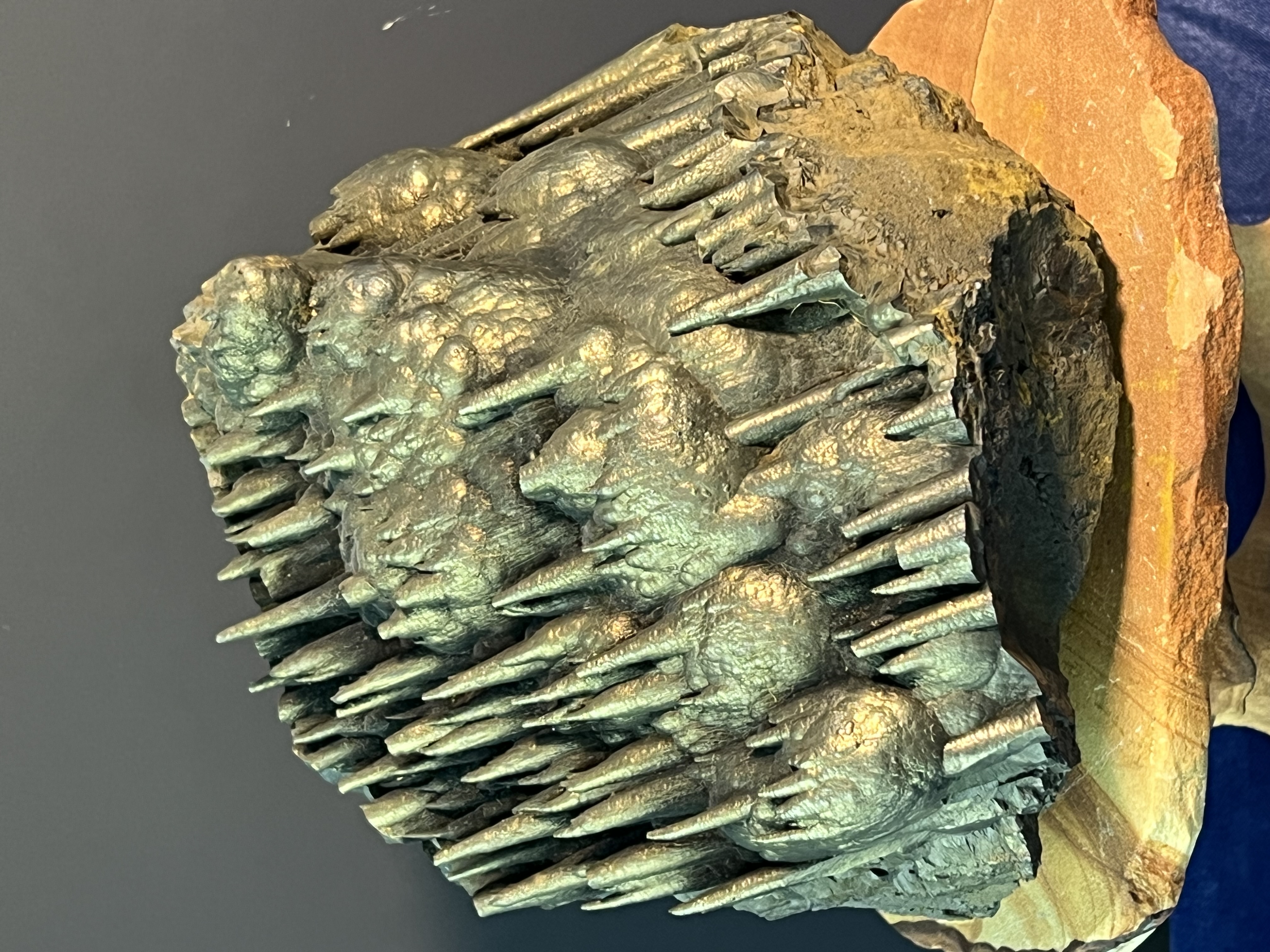 Museum Quality Very Special Golden Color Stalactite Goethite, For Special Collection 