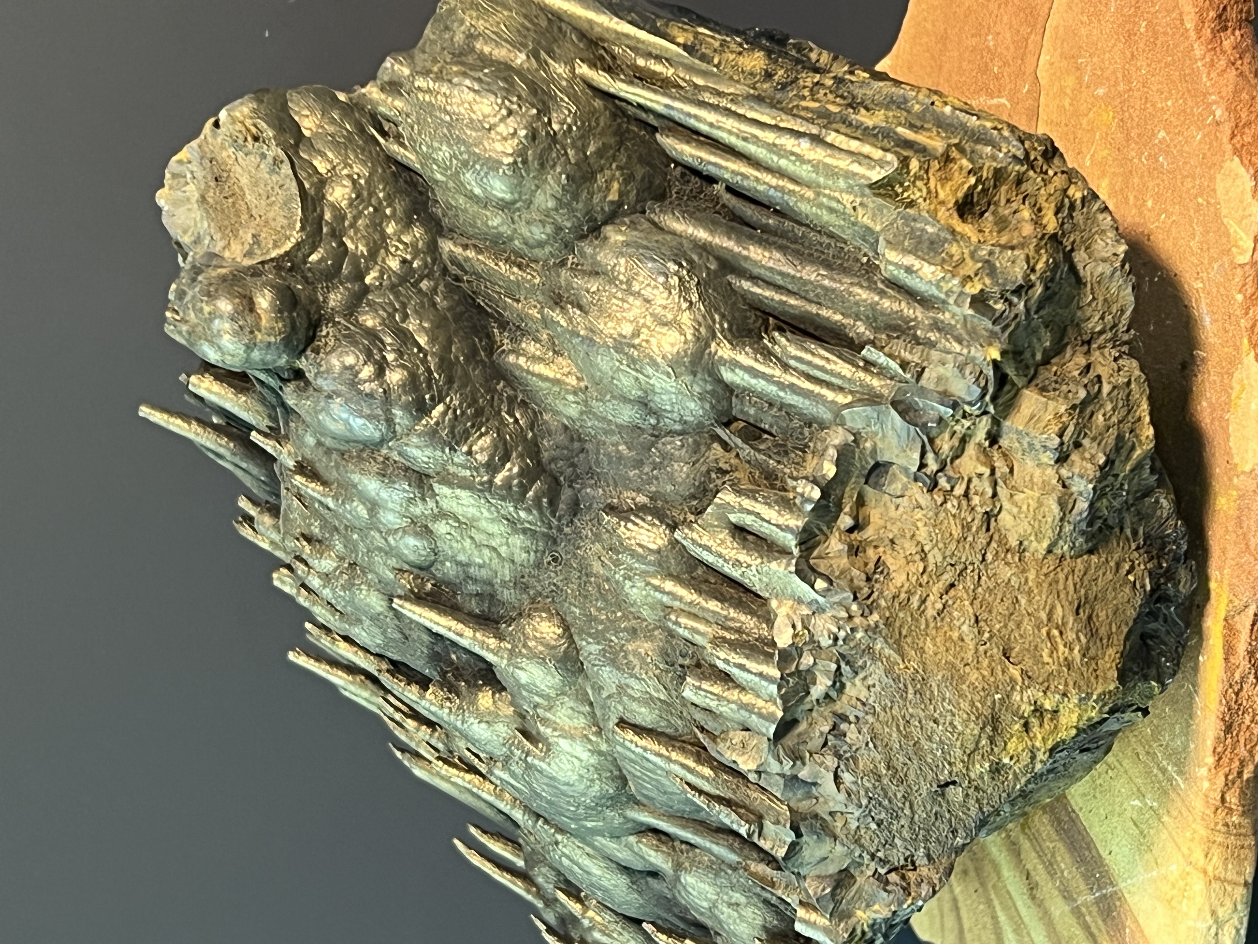 Museum Quality Very Special Golden Color Stalactite Goethite, For Special Collection 