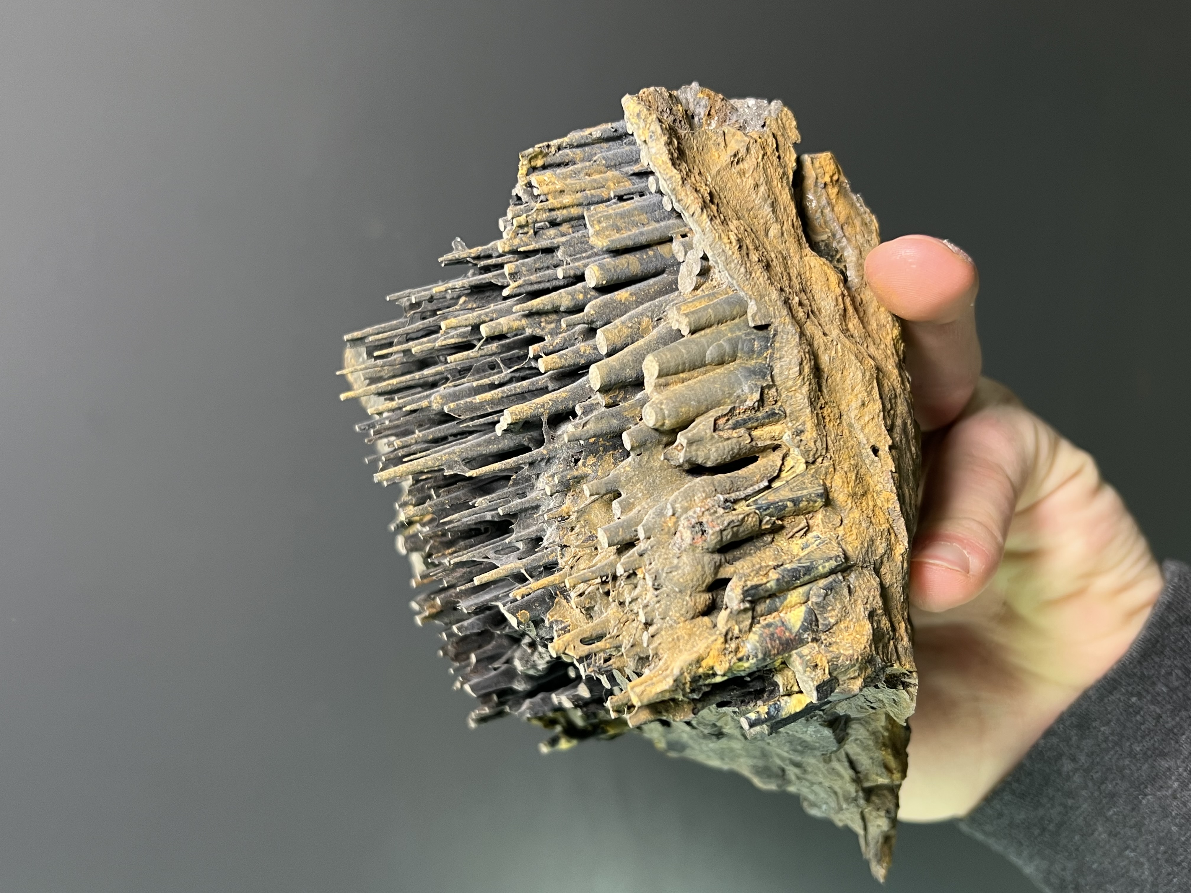Museum Quality Very Special Limonite Alloy Stalactite Goethite