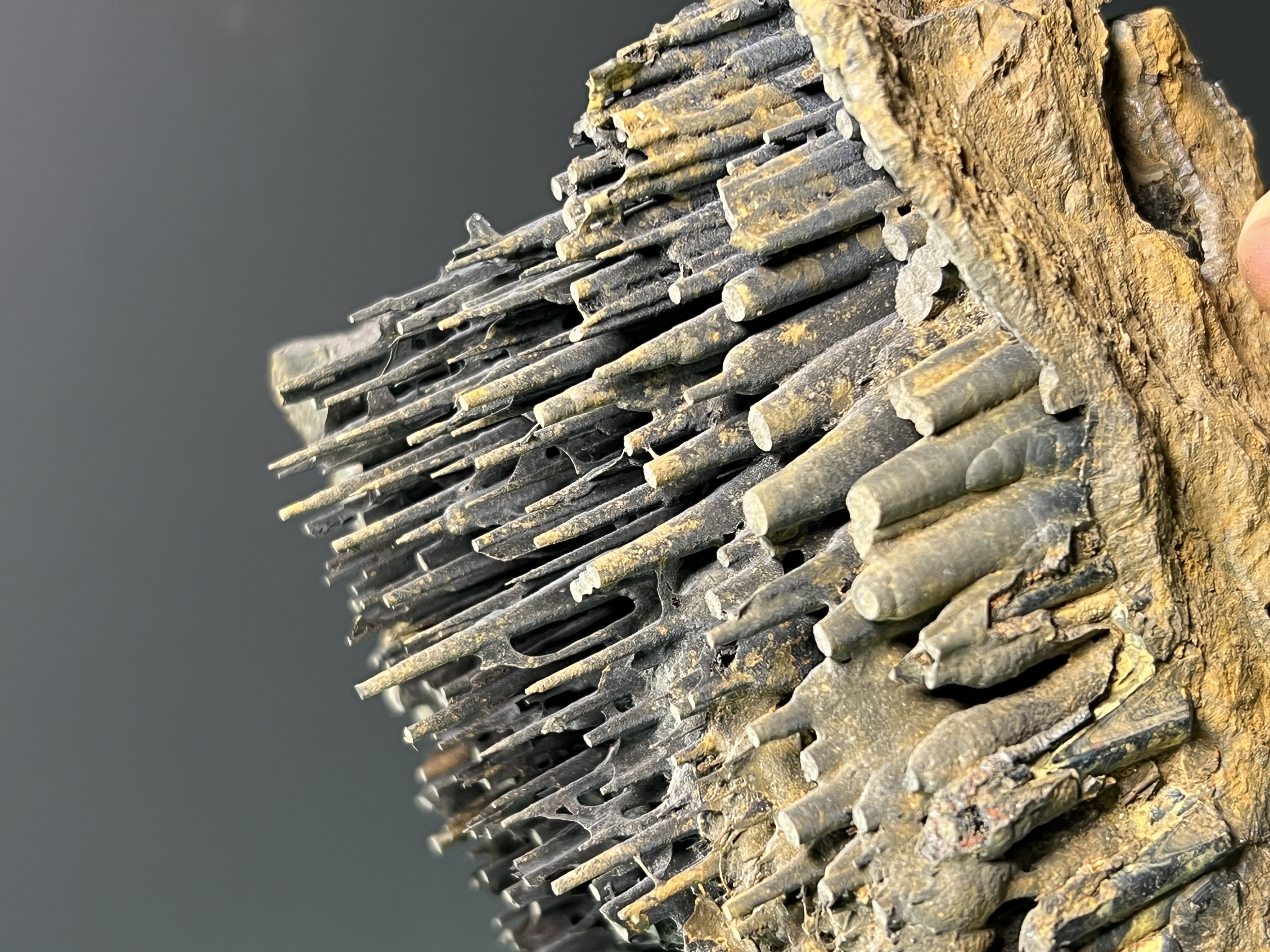 Museum Quality Very Special Limonite Alloy Stalactite Goethite