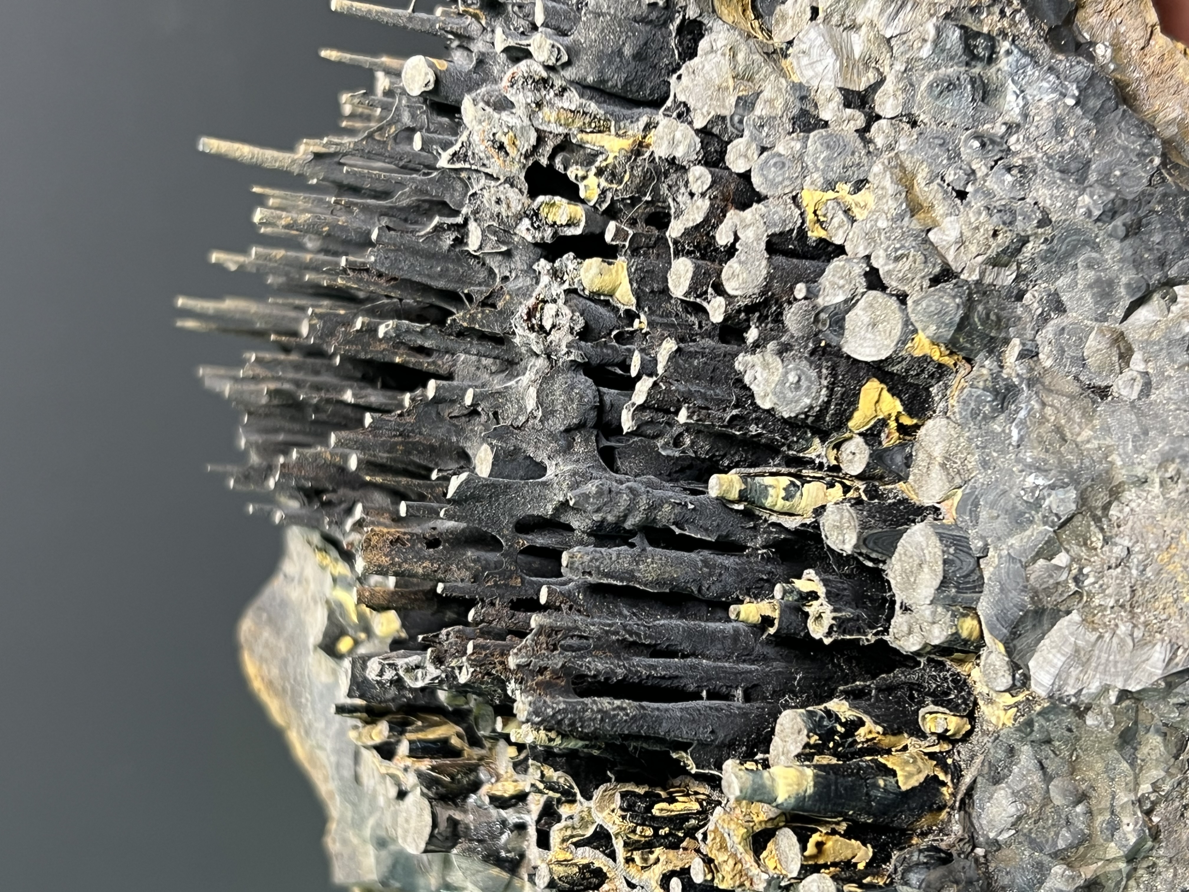 Museum Quality Very Special Limonite Alloy Stalactite Goethite