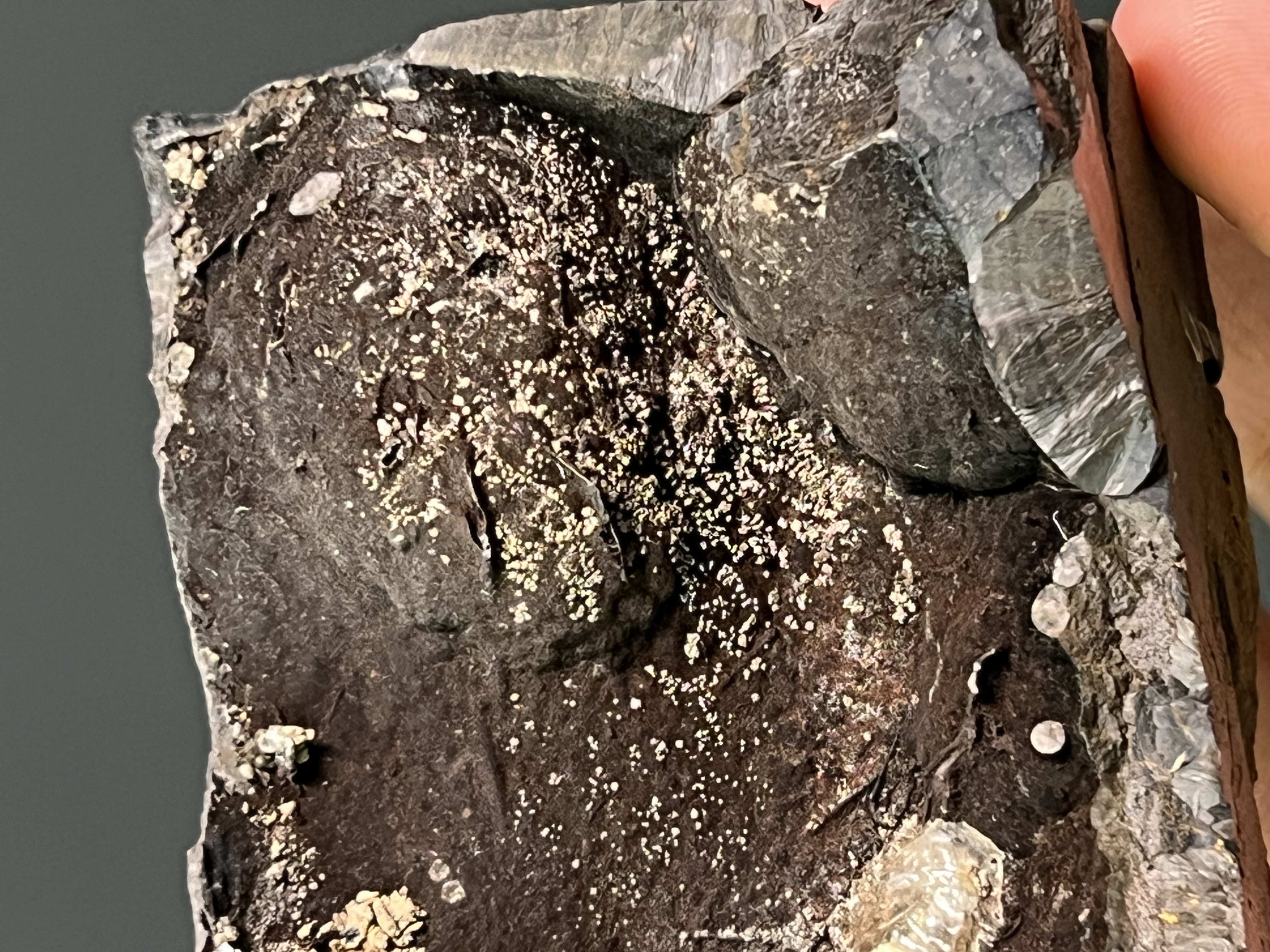 Very Unique Museum Piece, Specularite And Crystal Barite On Goethite