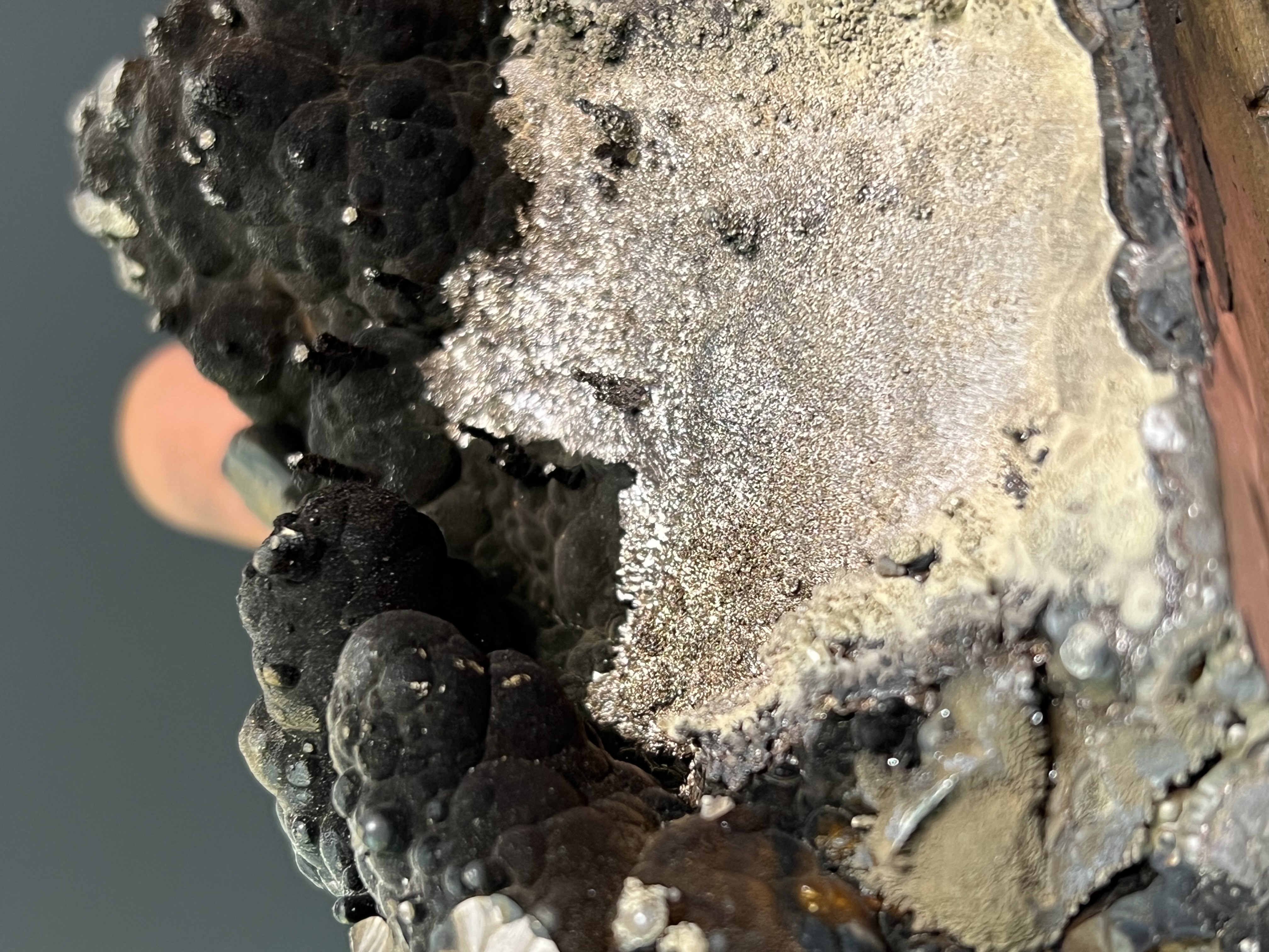Museum Quality, Special Piece! Specularite With Small Stalactites Goethite