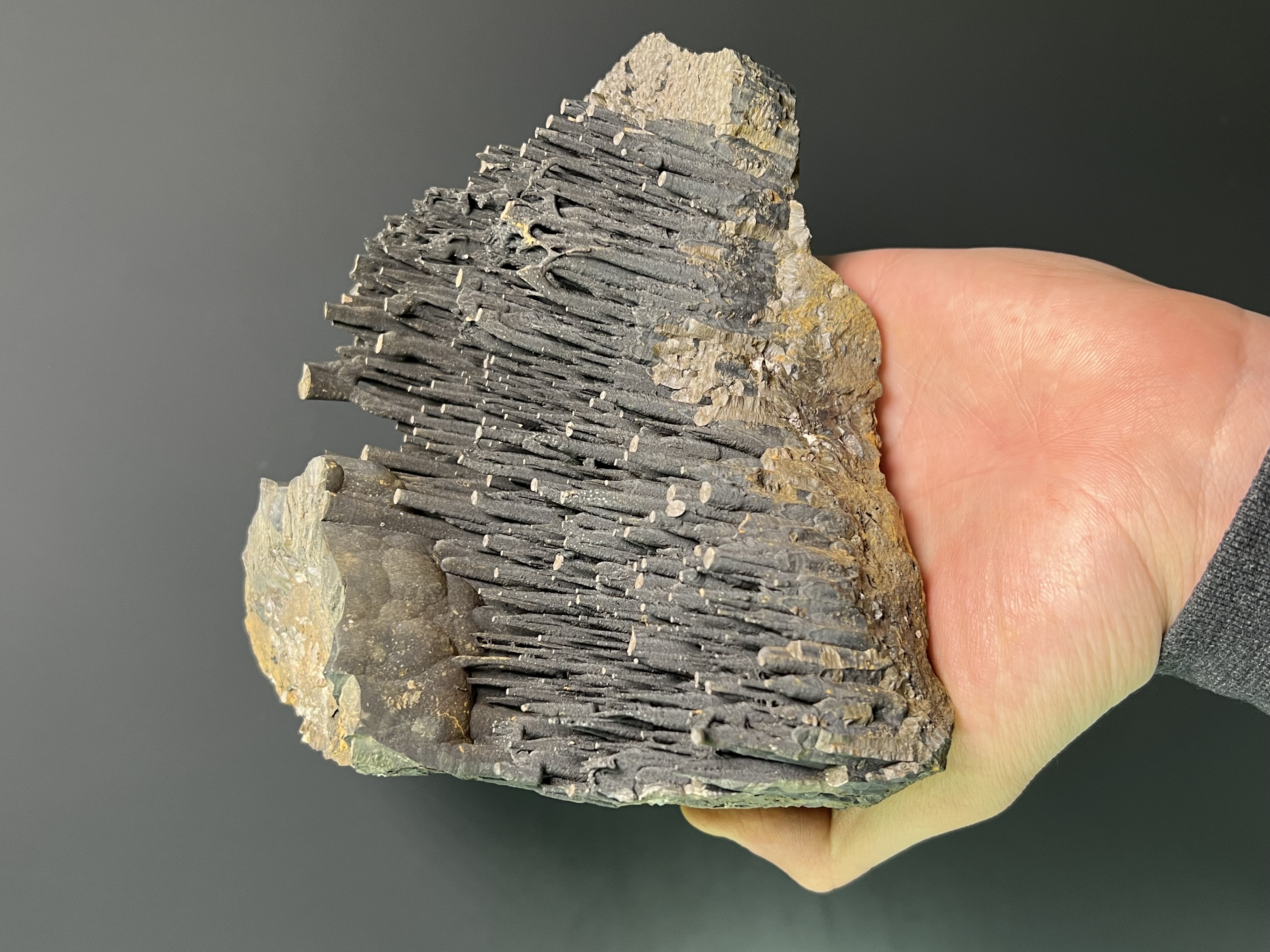 Museum Quality Very Special Stalactite Goethite 