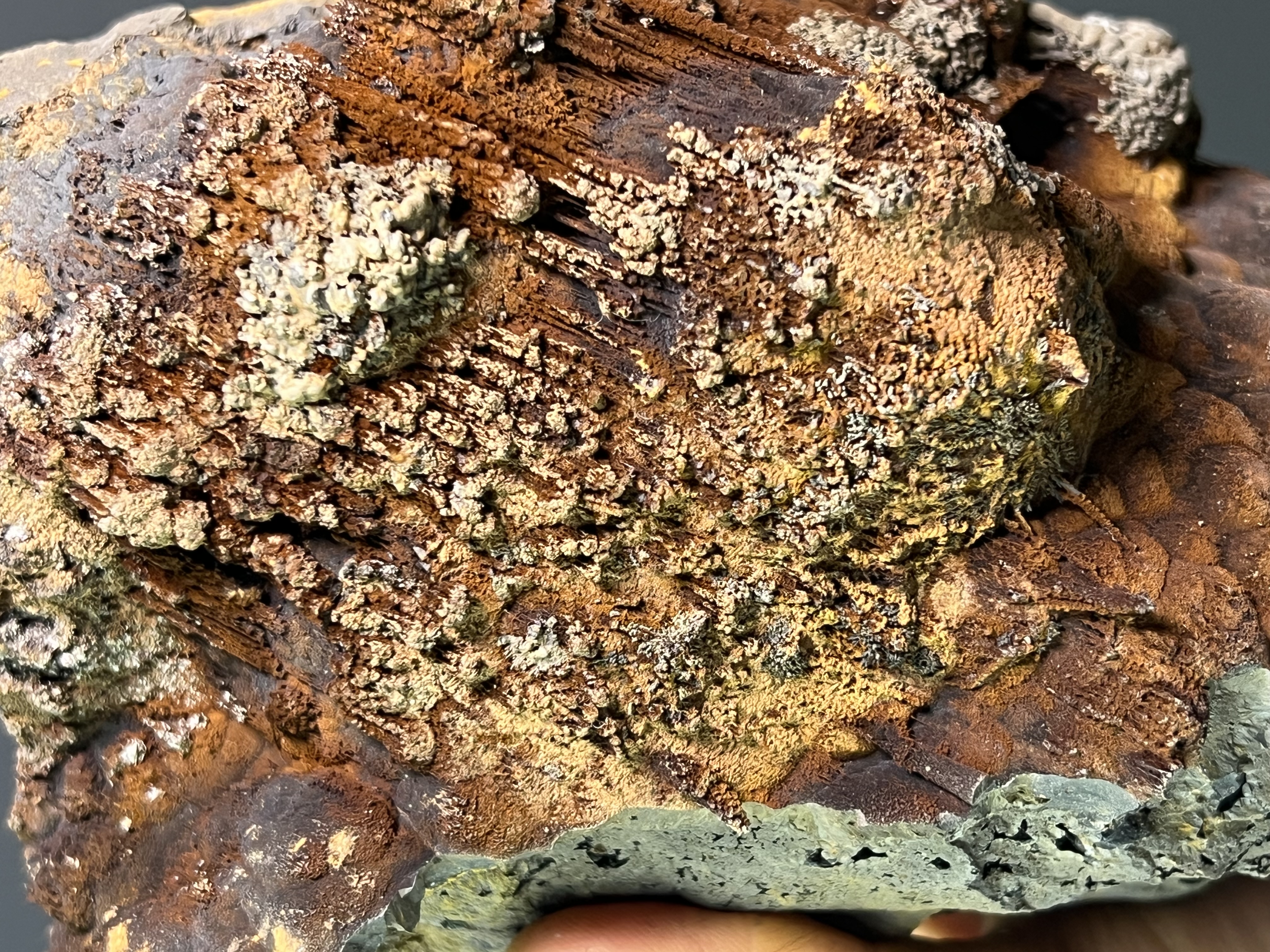 Museum Quality, Very Special Limonite And Specularite On Stalactite And Botryoidal Goethite 