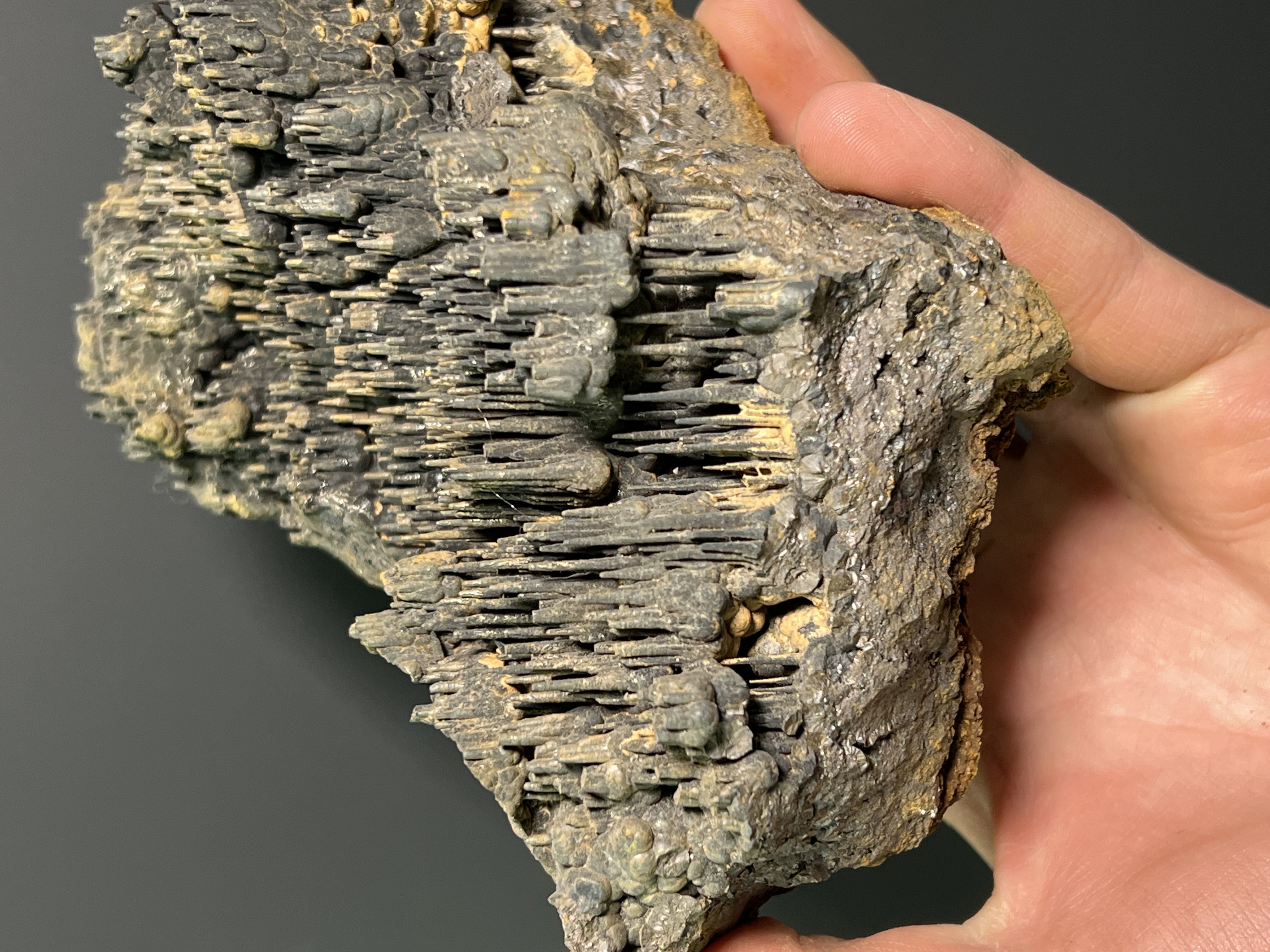 Very Special Limonite Alloy Stalactite Goethite 