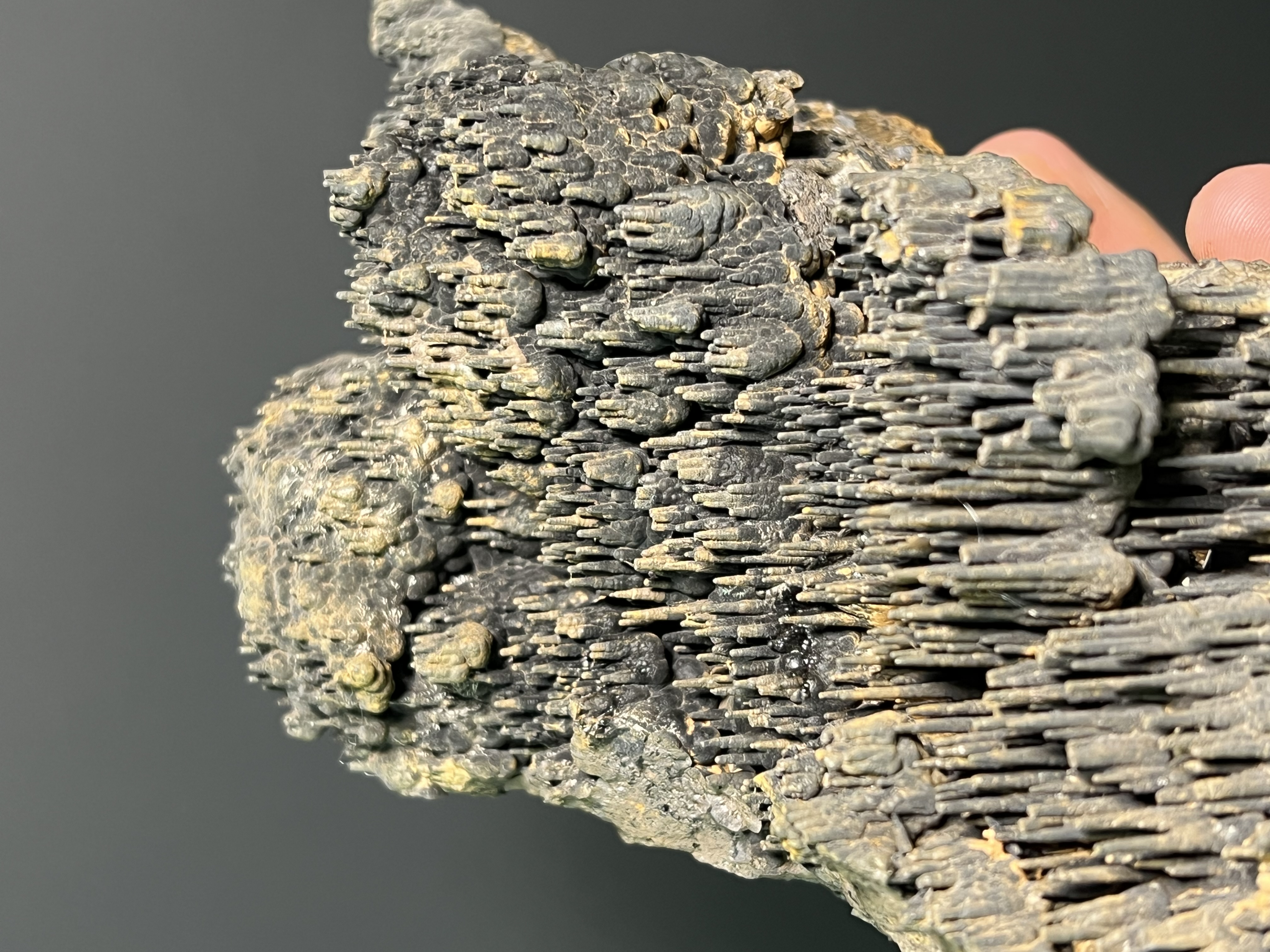 Very Special Limonite Alloy Stalactite Goethite 