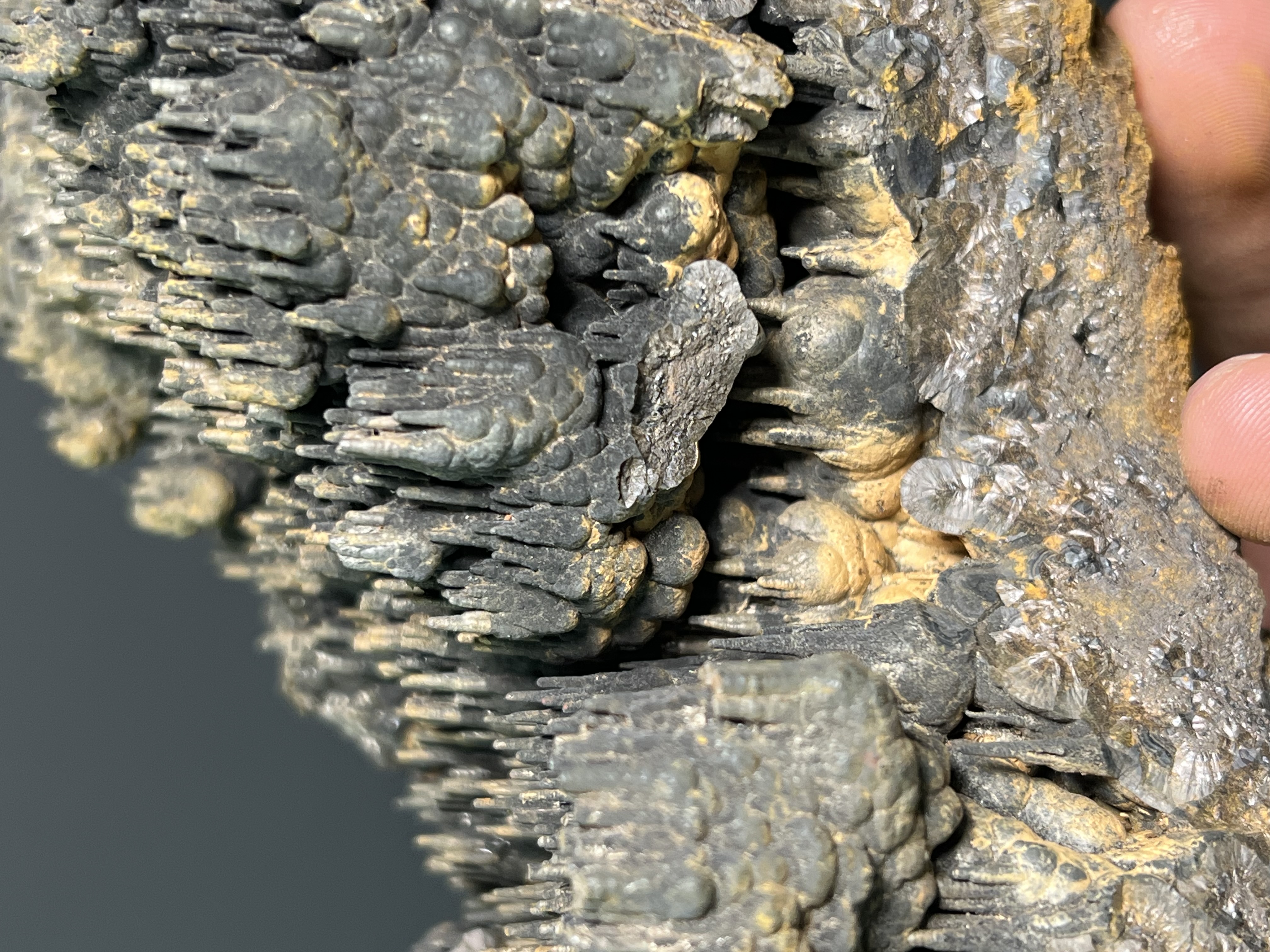 Very Special Limonite Alloy Stalactite Goethite 