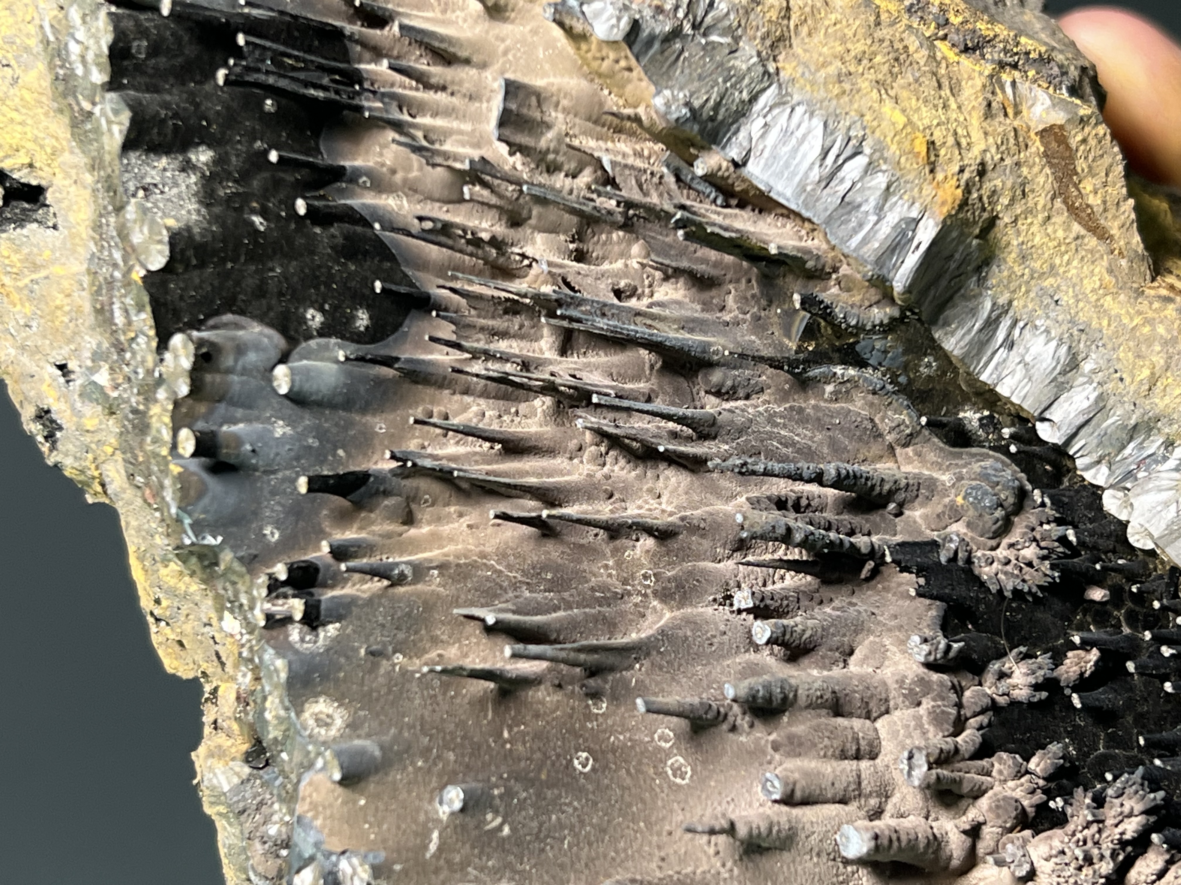 Special Formation Museum Quality Specularite With Stalactite Goethite