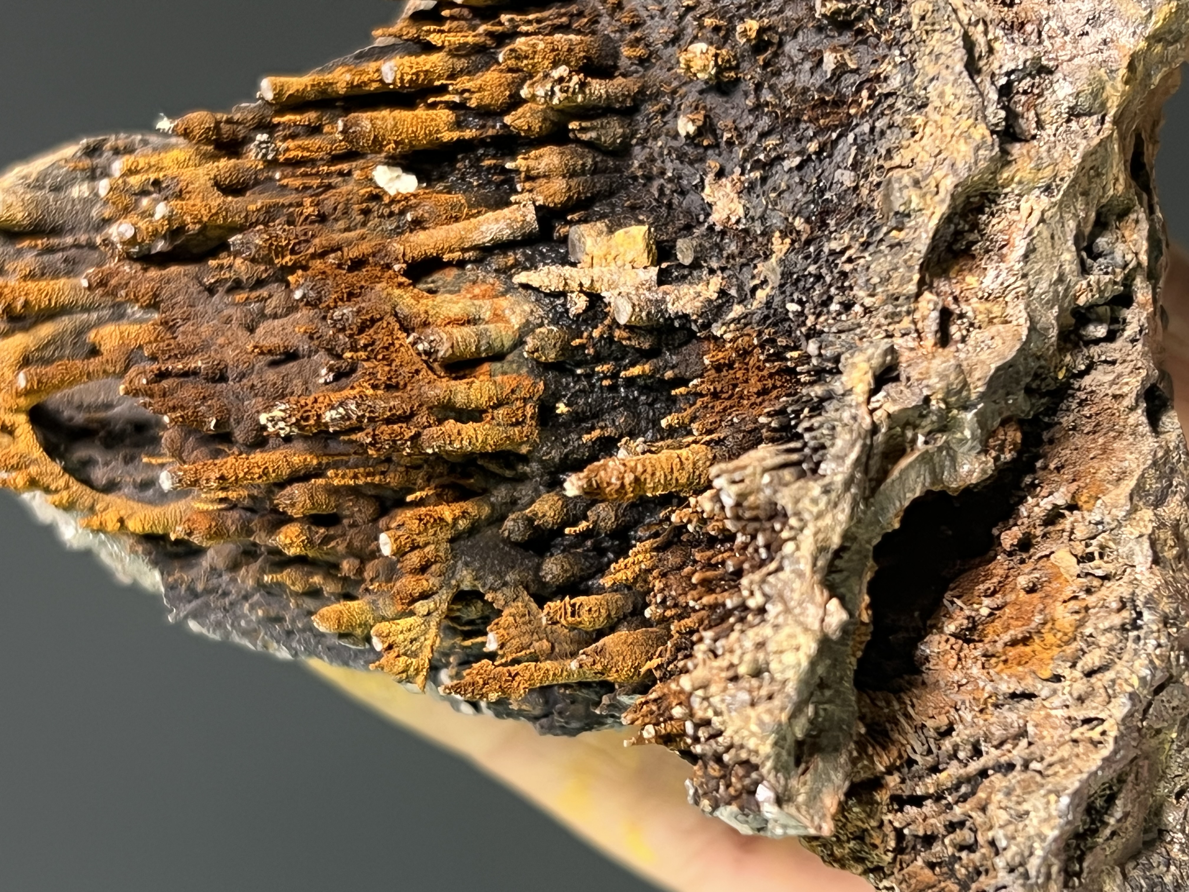 Special Museum Quality Limonite On Stalactite Goethite 