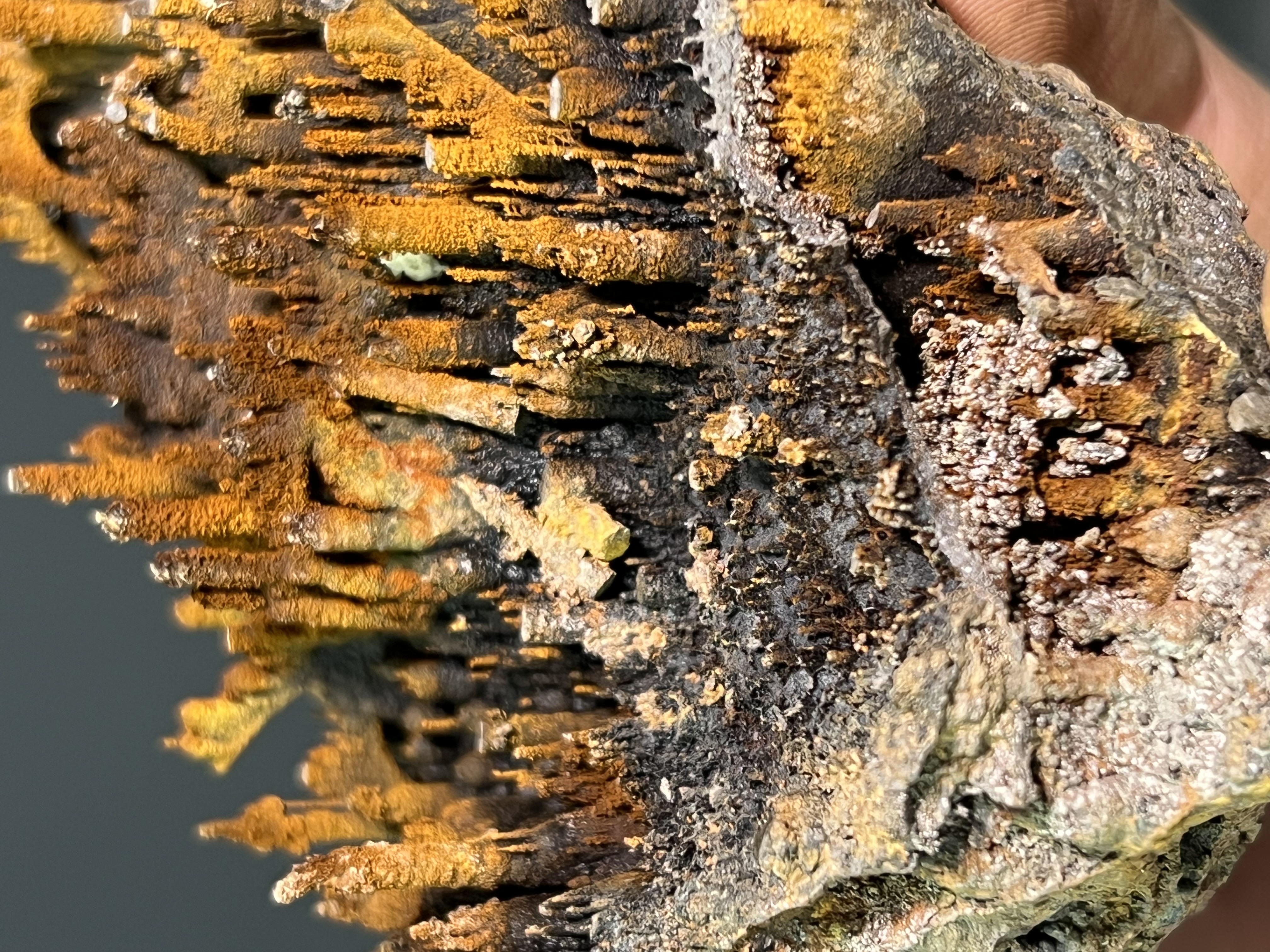 Special Museum Quality Limonite On Stalactite Goethite 