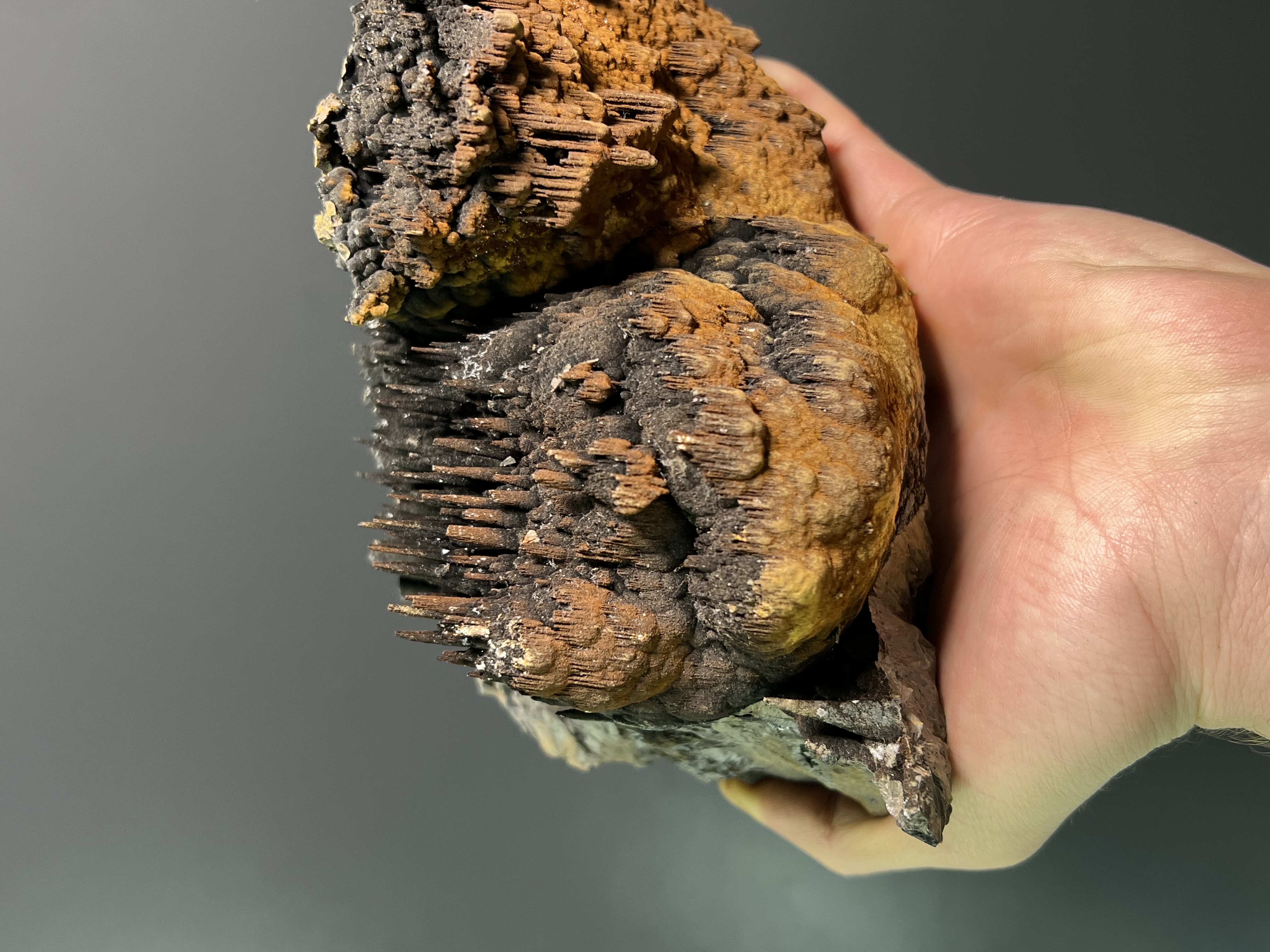 Museum Piece, Limonite With Stalactite Goethite