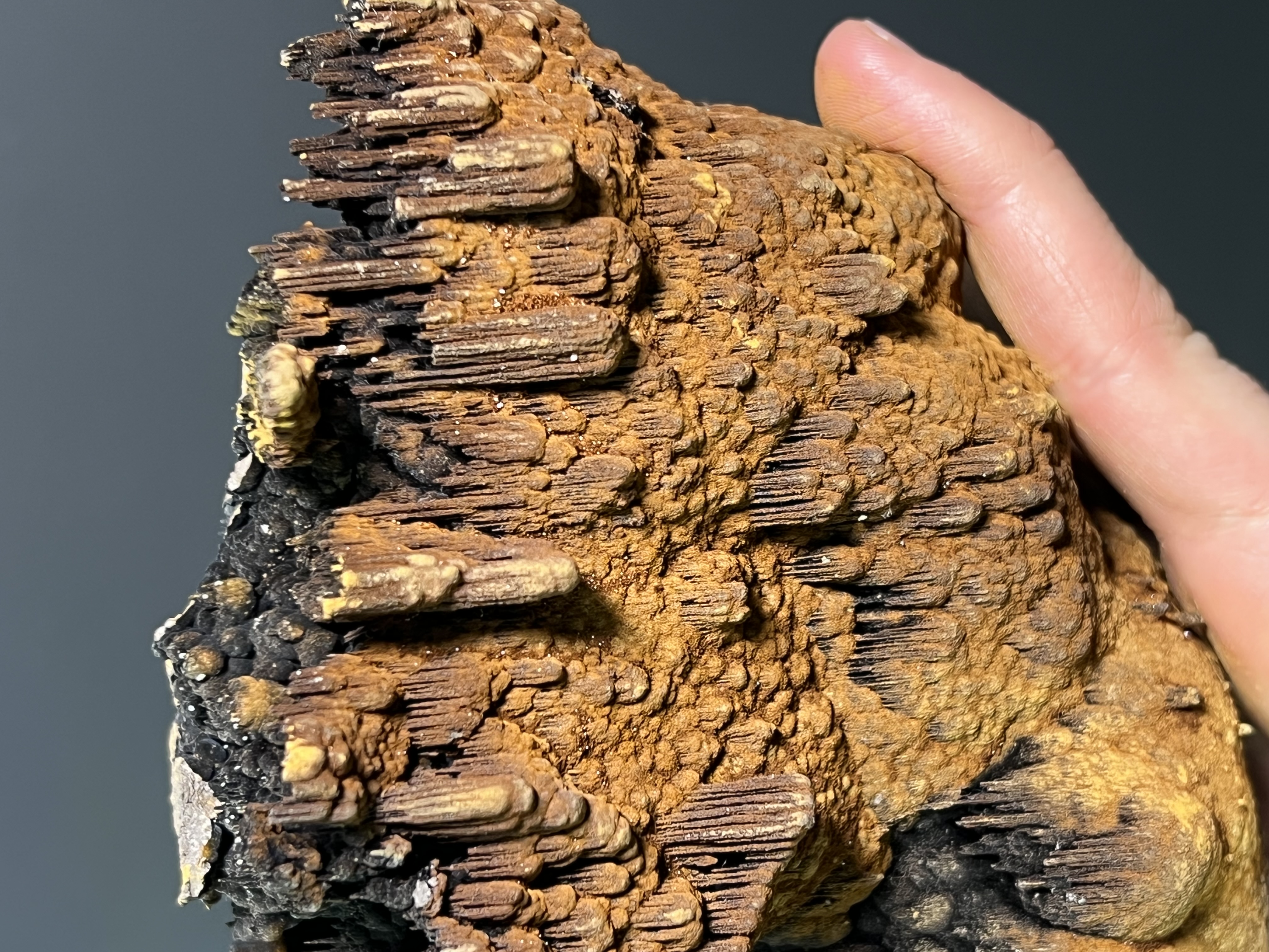 Museum Piece, Limonite With Stalactite Goethite