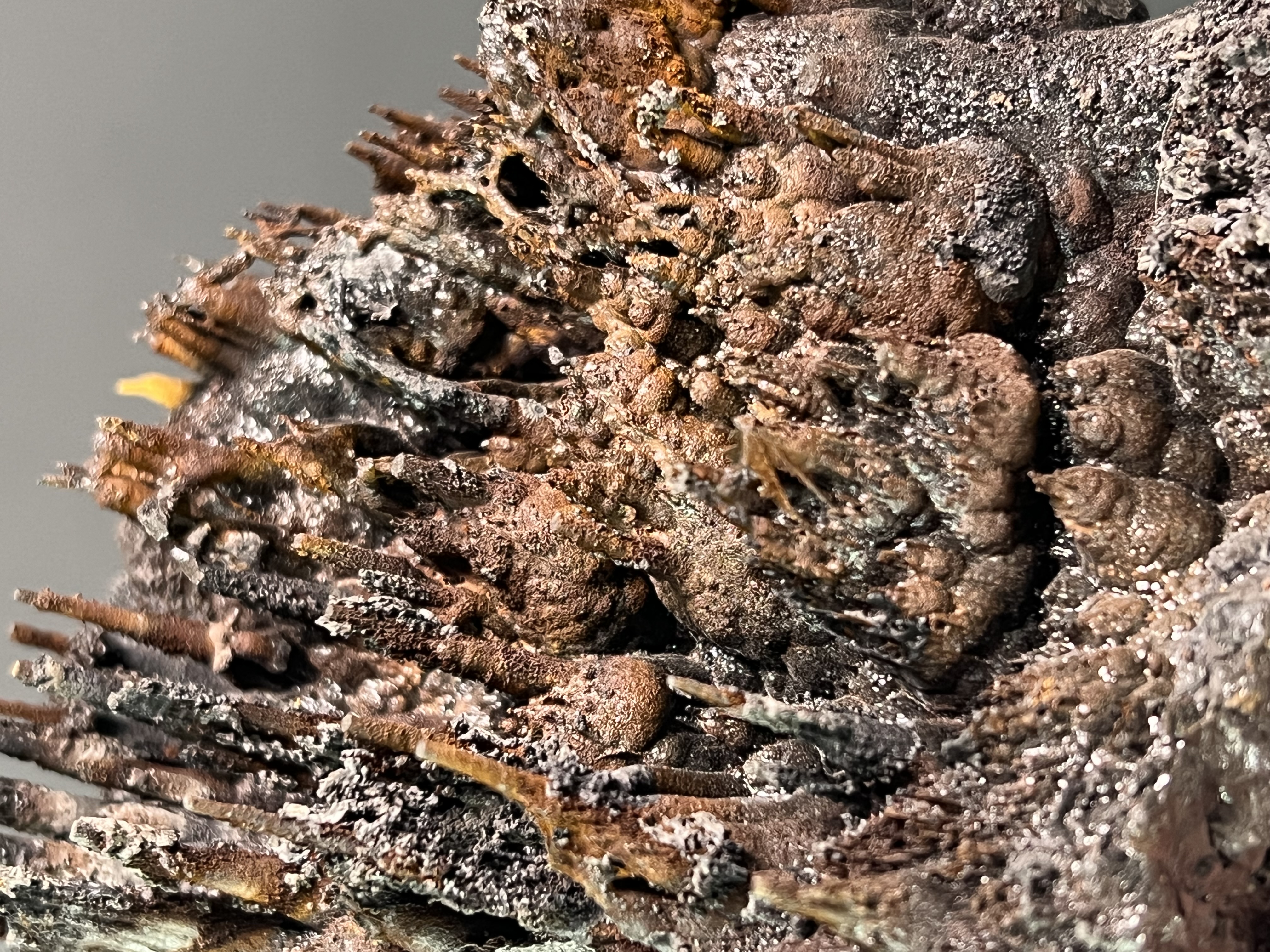 Limonite And Specularite On Stalactite Goethite 