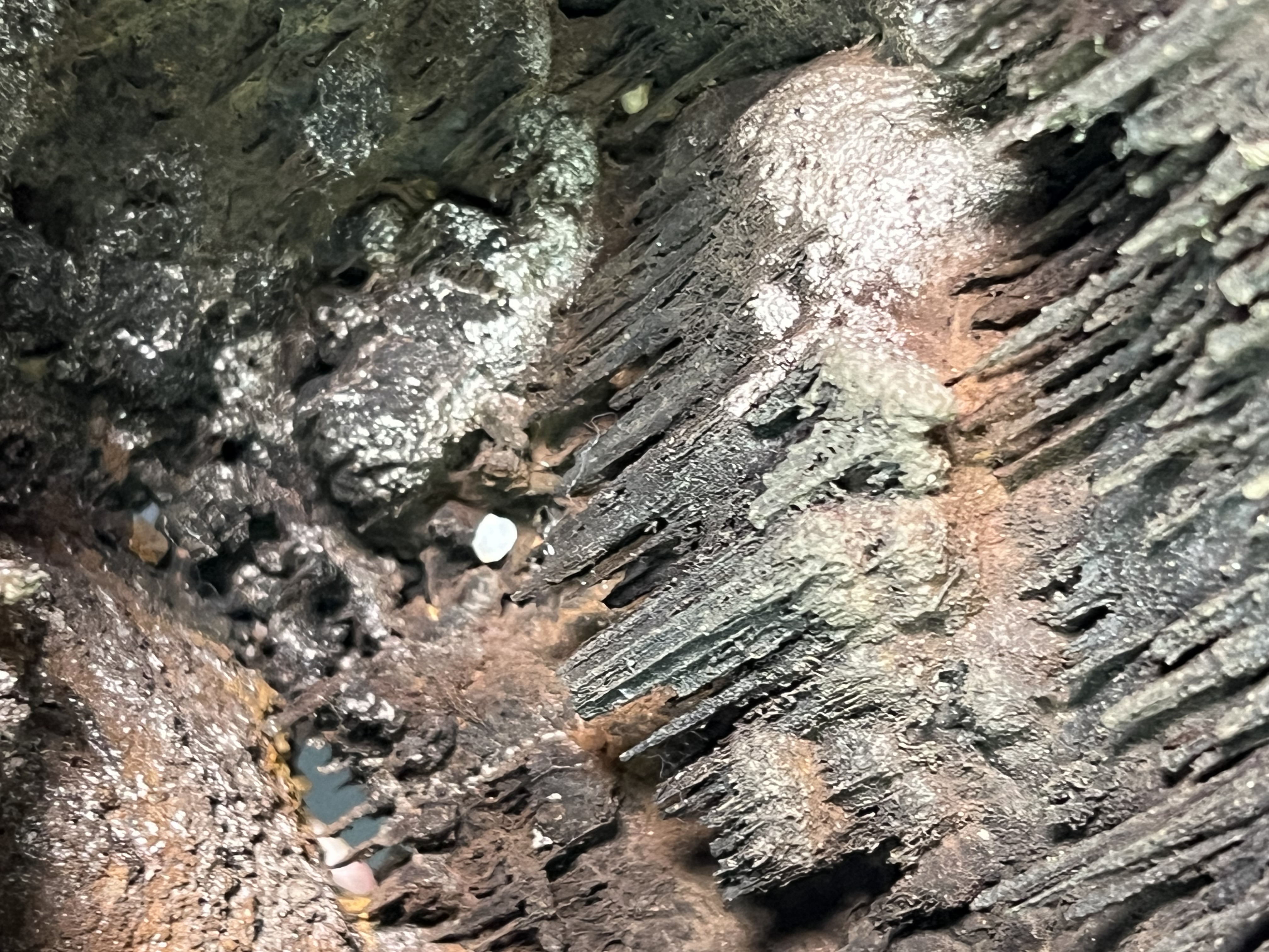 Museum Quality Very Special Limonite And Specularite With Cave Shaped Stalactite Goethite 