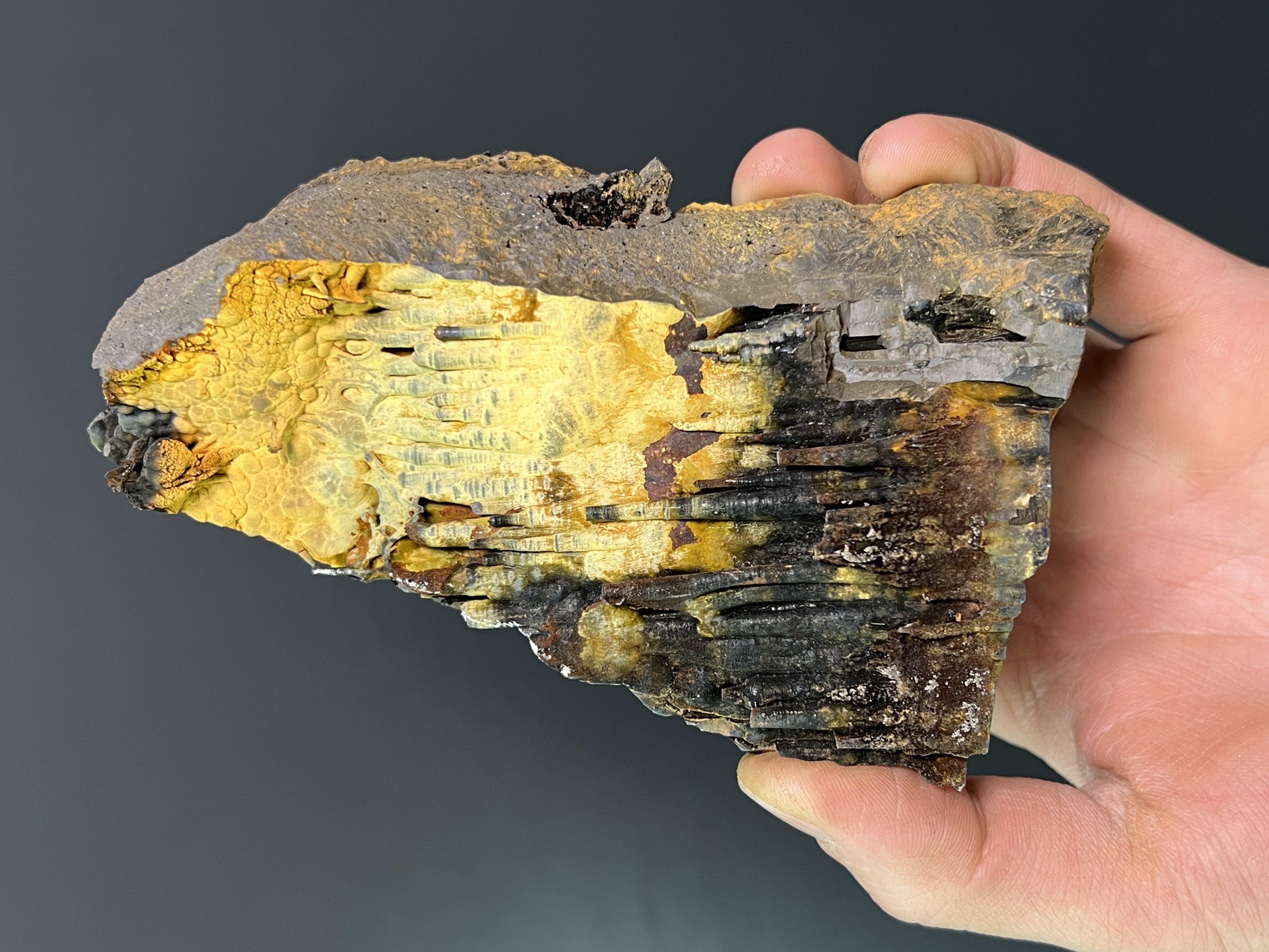 Limonite With Stalactite Goethite Mineral