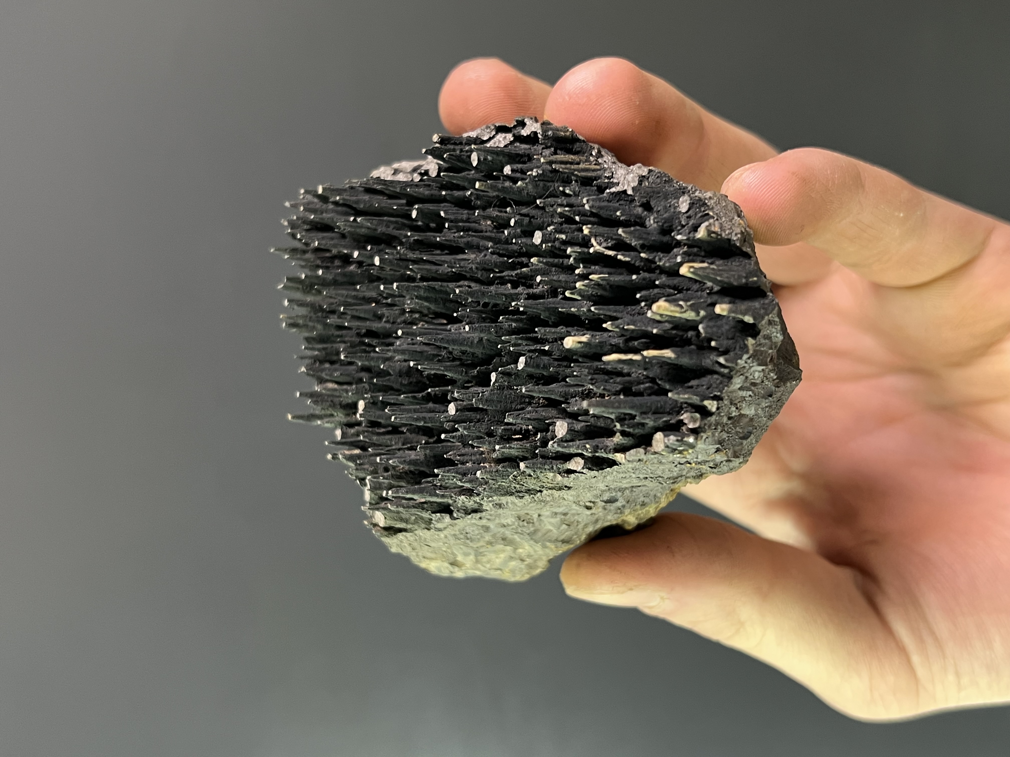 Museum Quality Forest Stalactite Goethite 