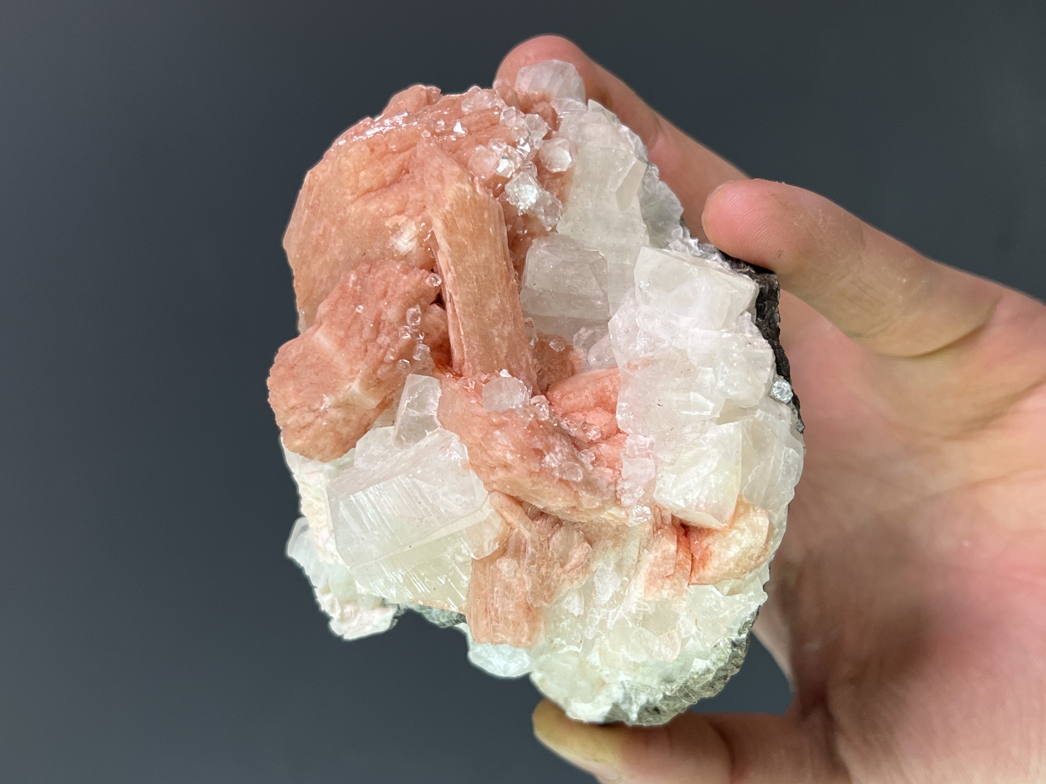 Pink Halite With Apophyllite
