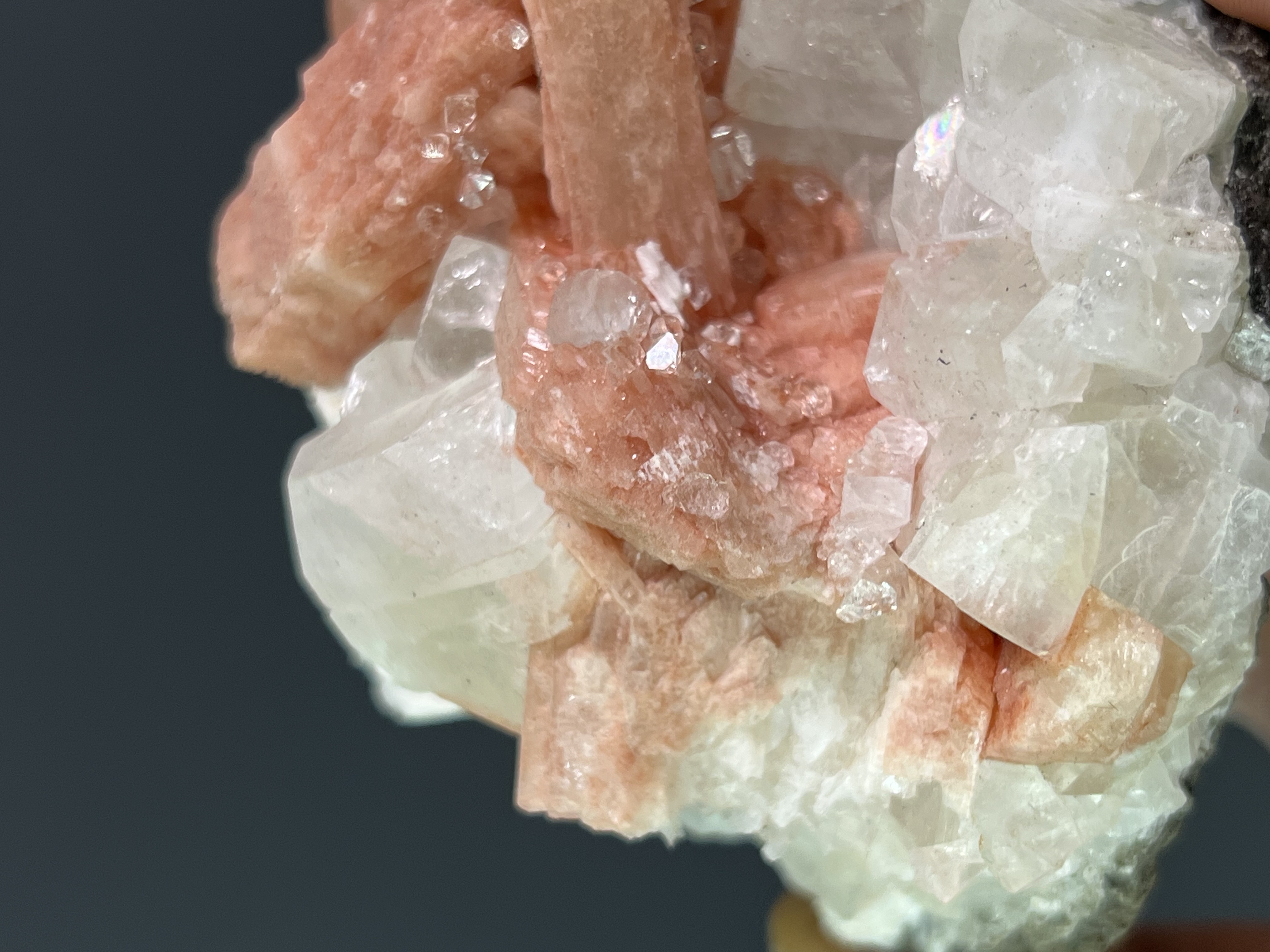 Pink Halite With Apophyllite