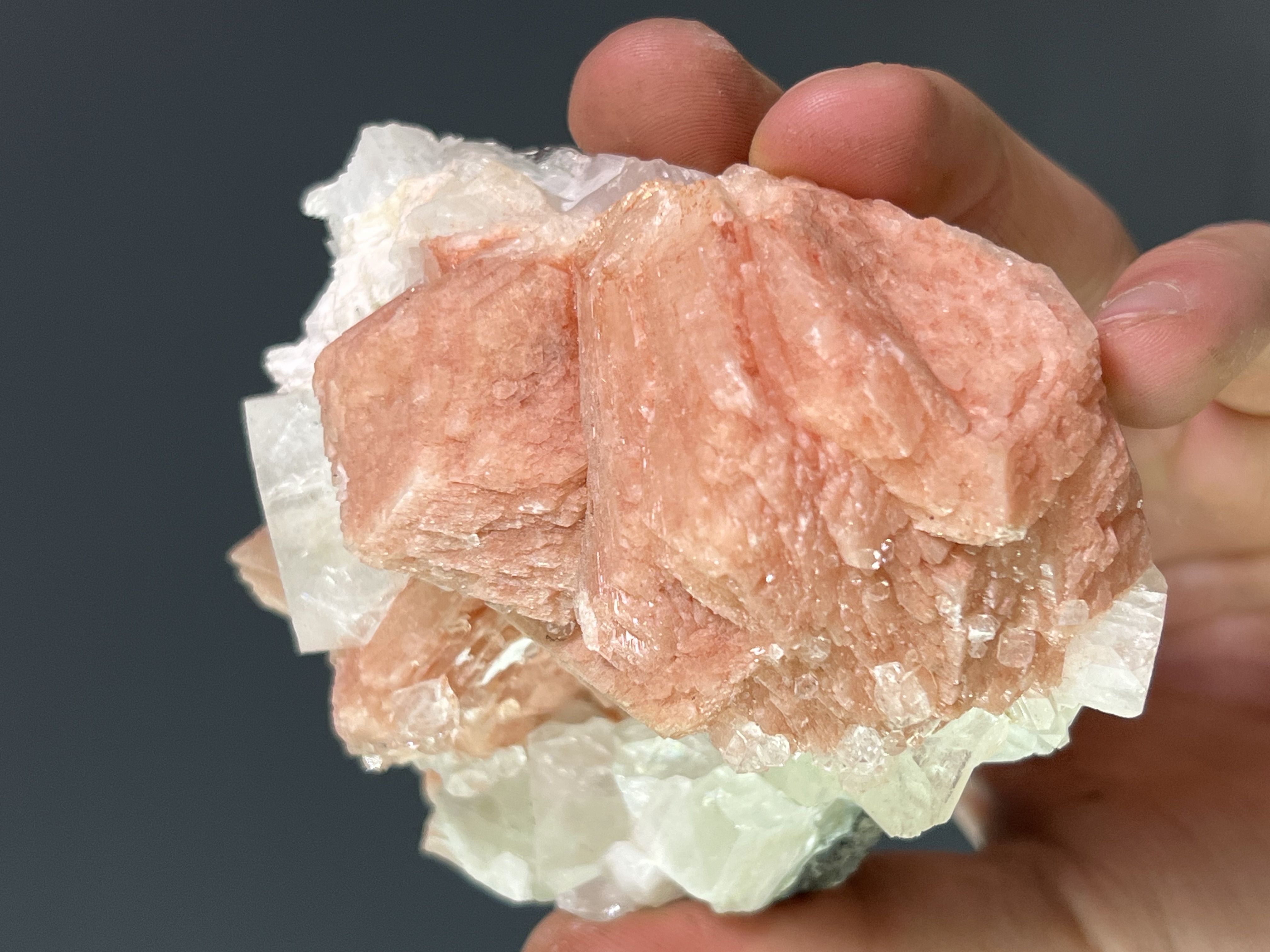 Pink Halite With Apophyllite