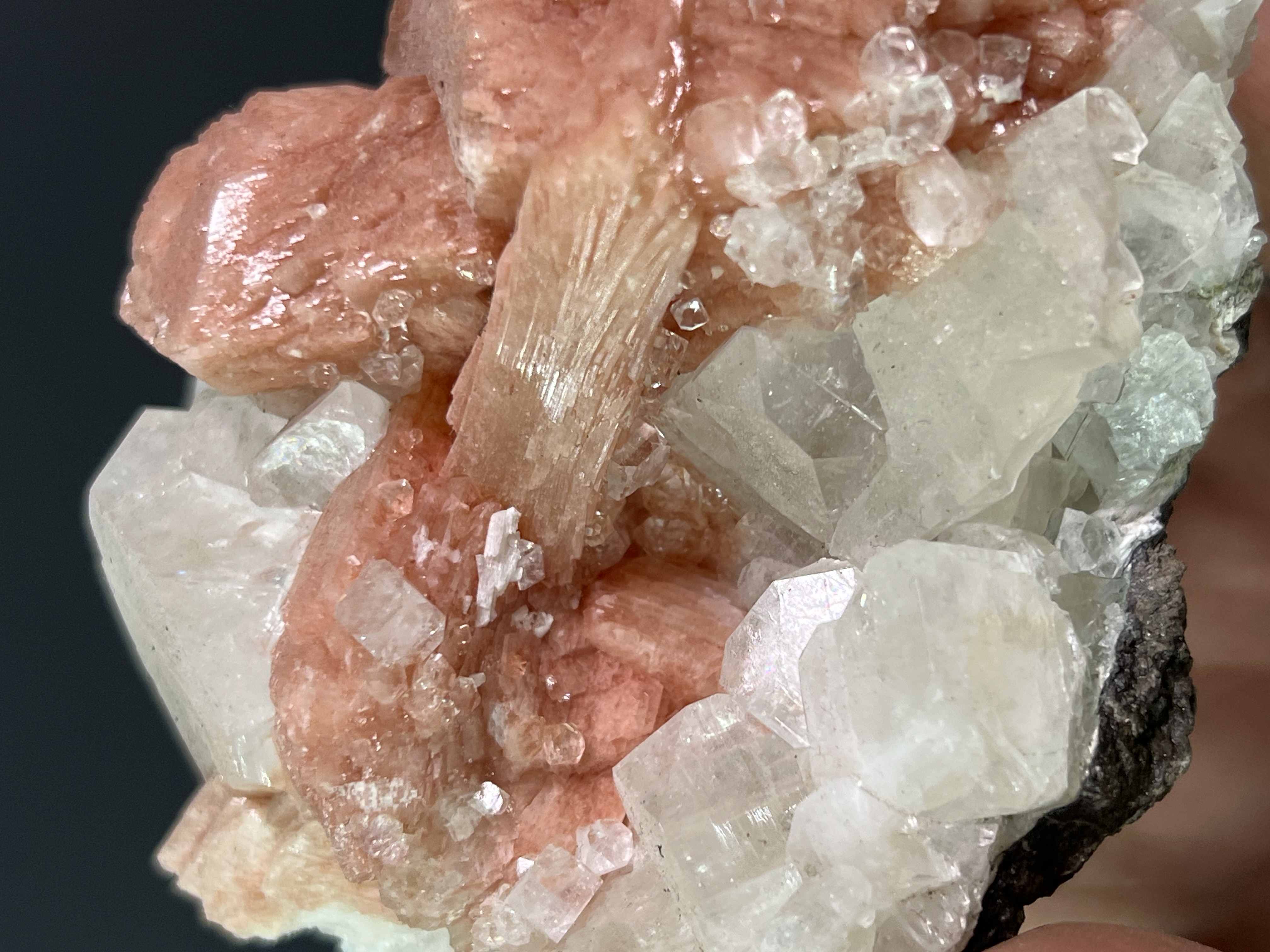 Pink Halite With Apophyllite