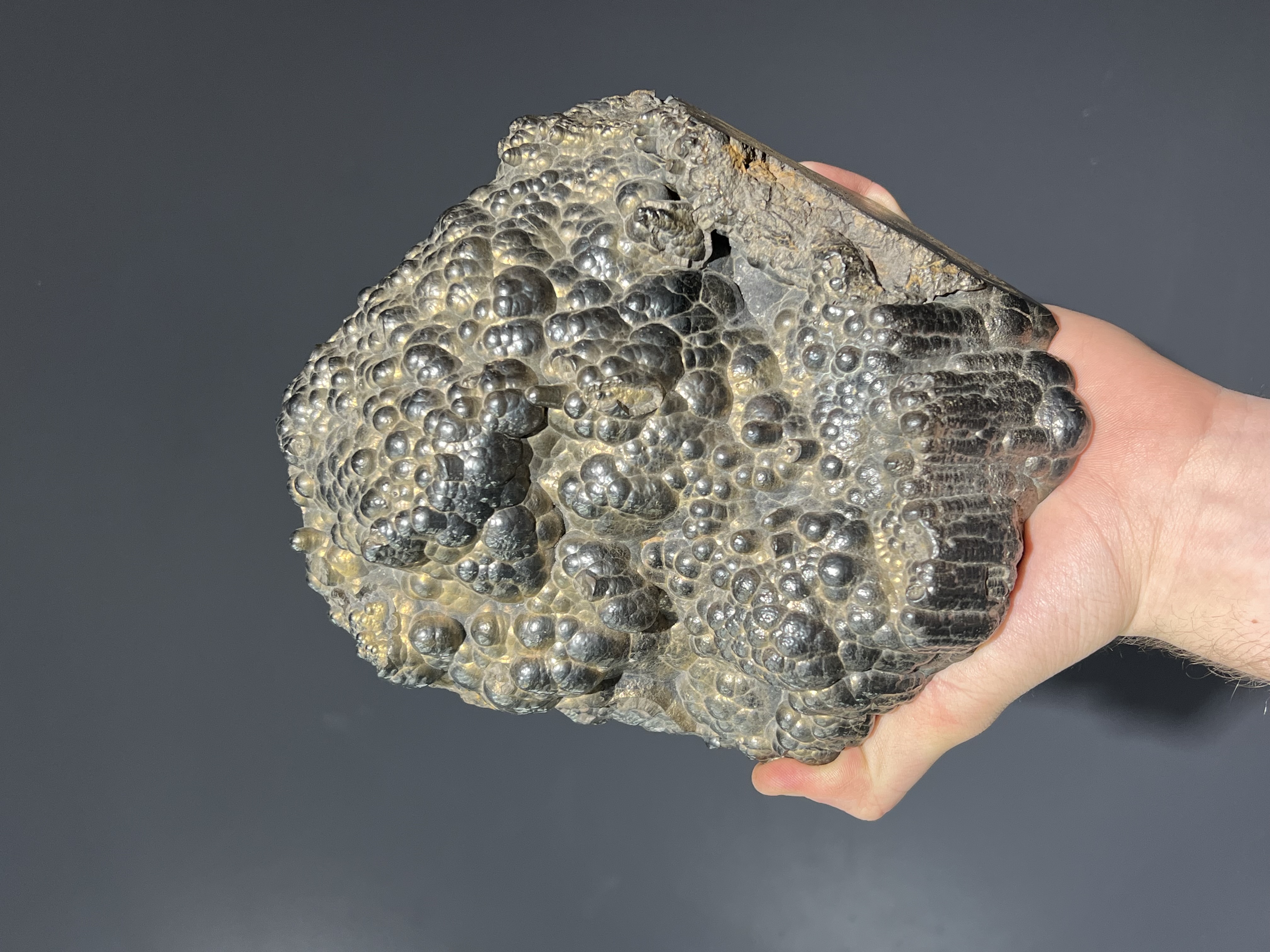 Museum Quality Showy Large Size Golden Color Botryoidal Goethite 