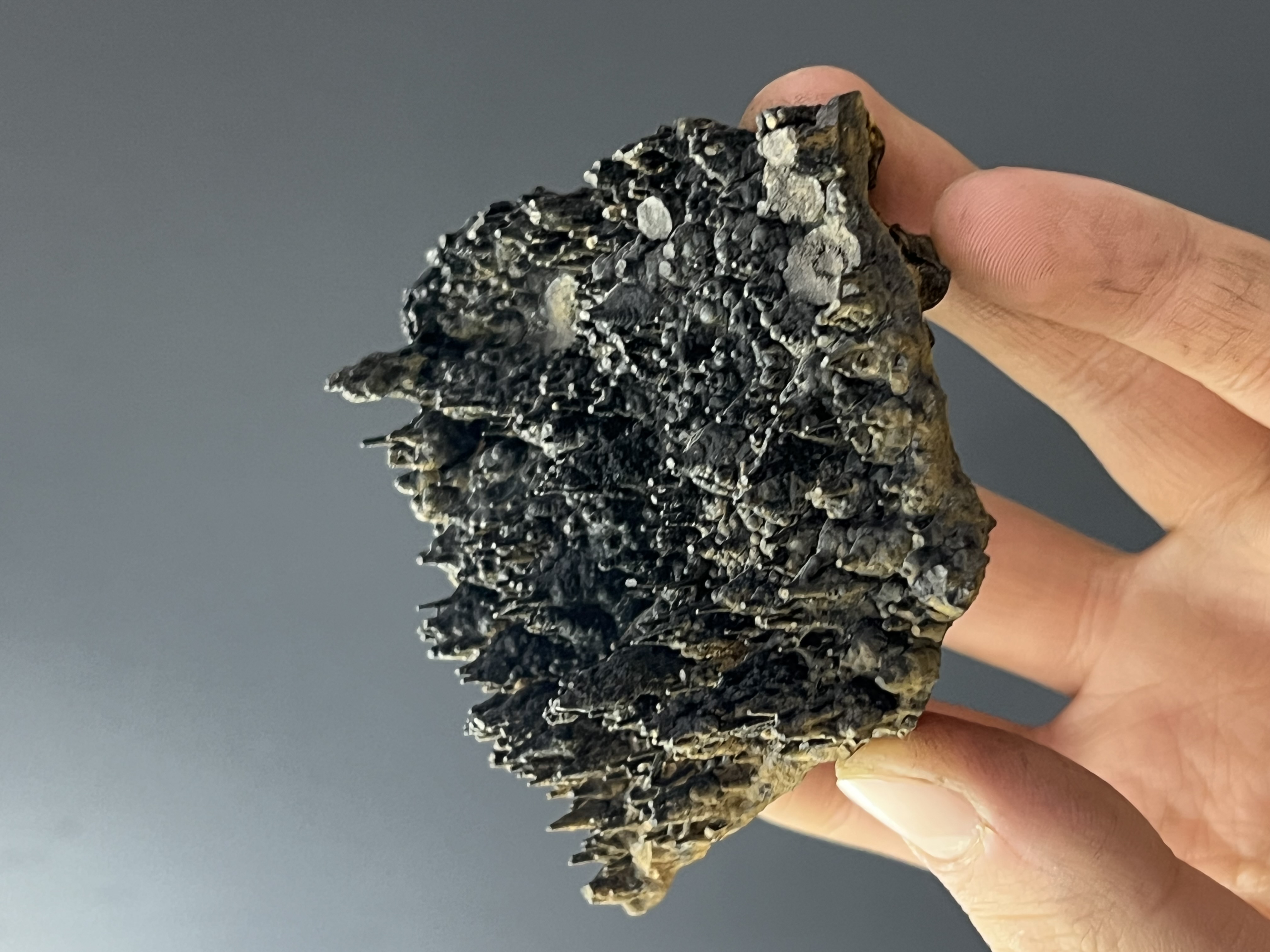 Museum Quality Showy Special Stalactite Goethite