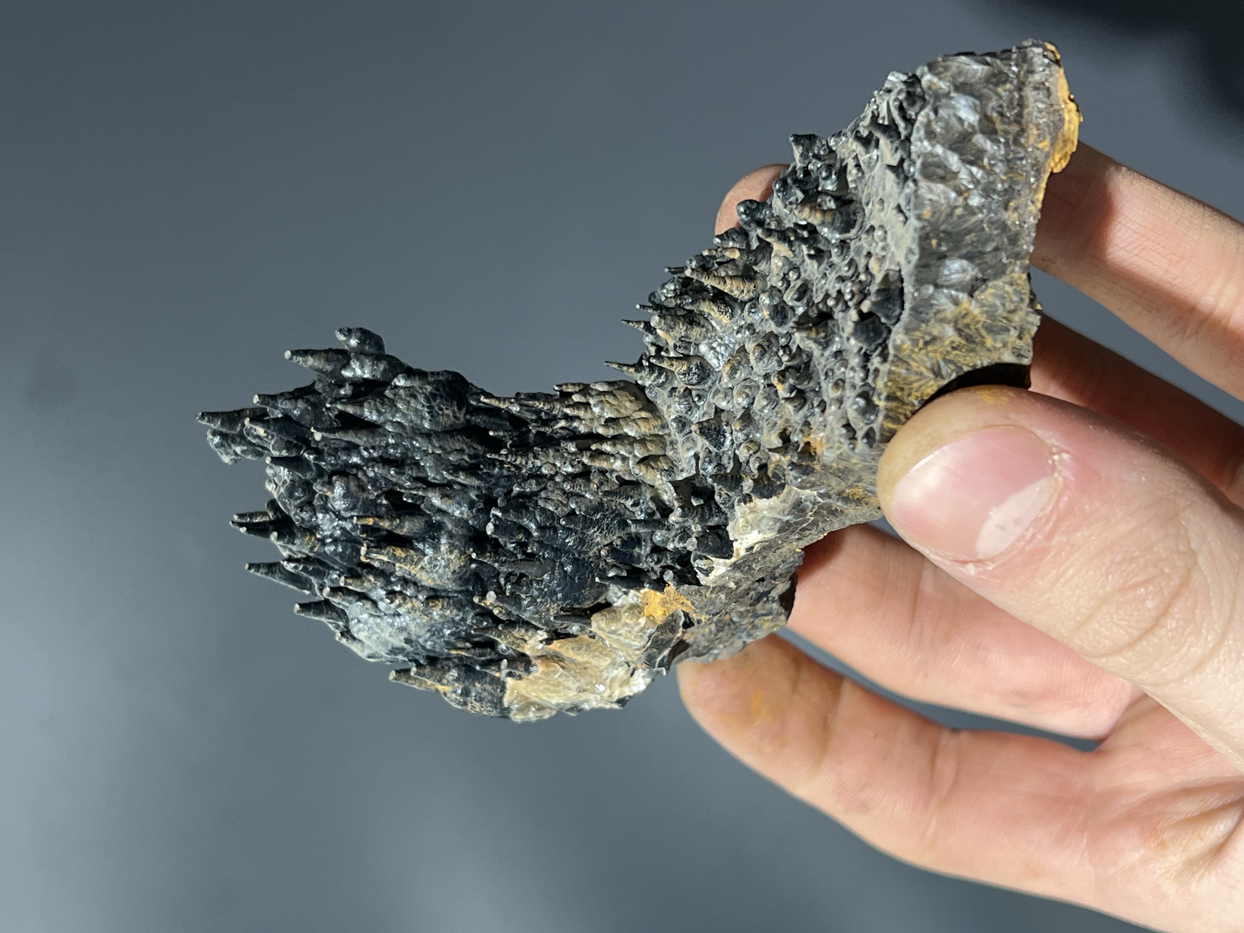 Museum Quality Special Showy Limonite With Stalactite Goethite 