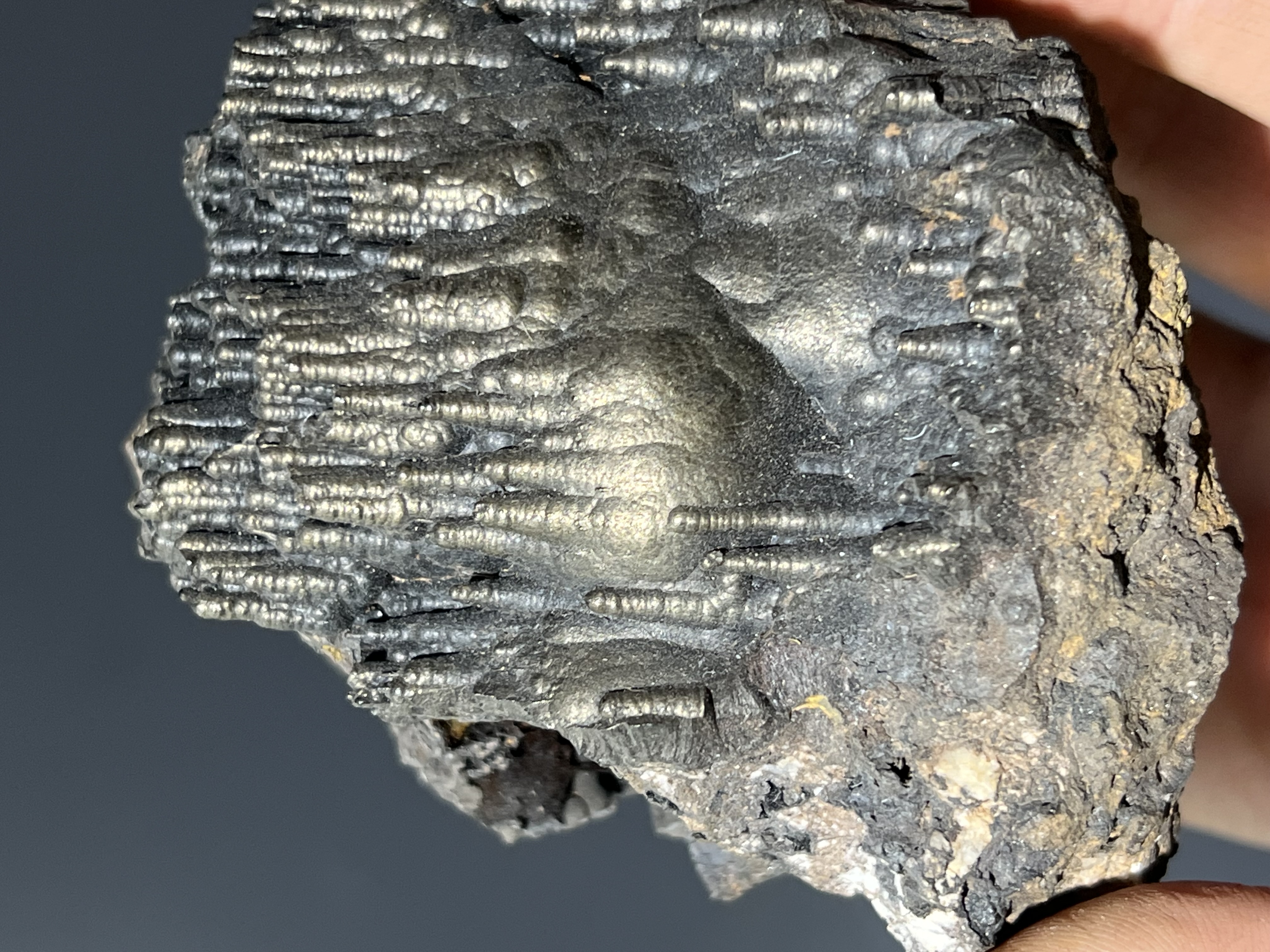 Museum Quality Special Golden Color Stalactite Goethite 