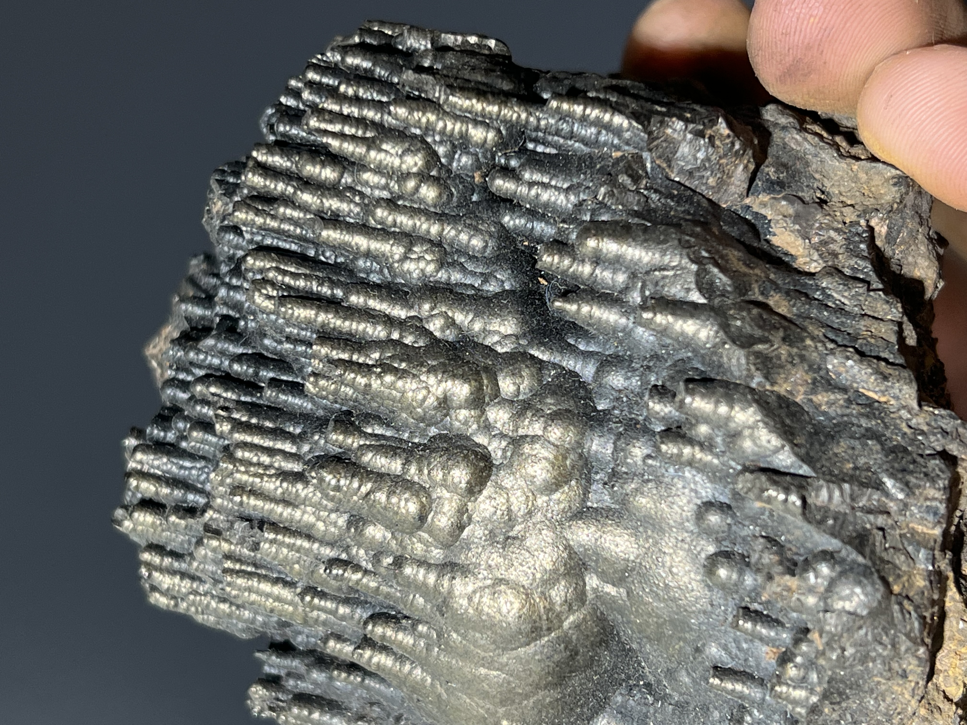 Museum Quality Special Golden Color Stalactite Goethite 