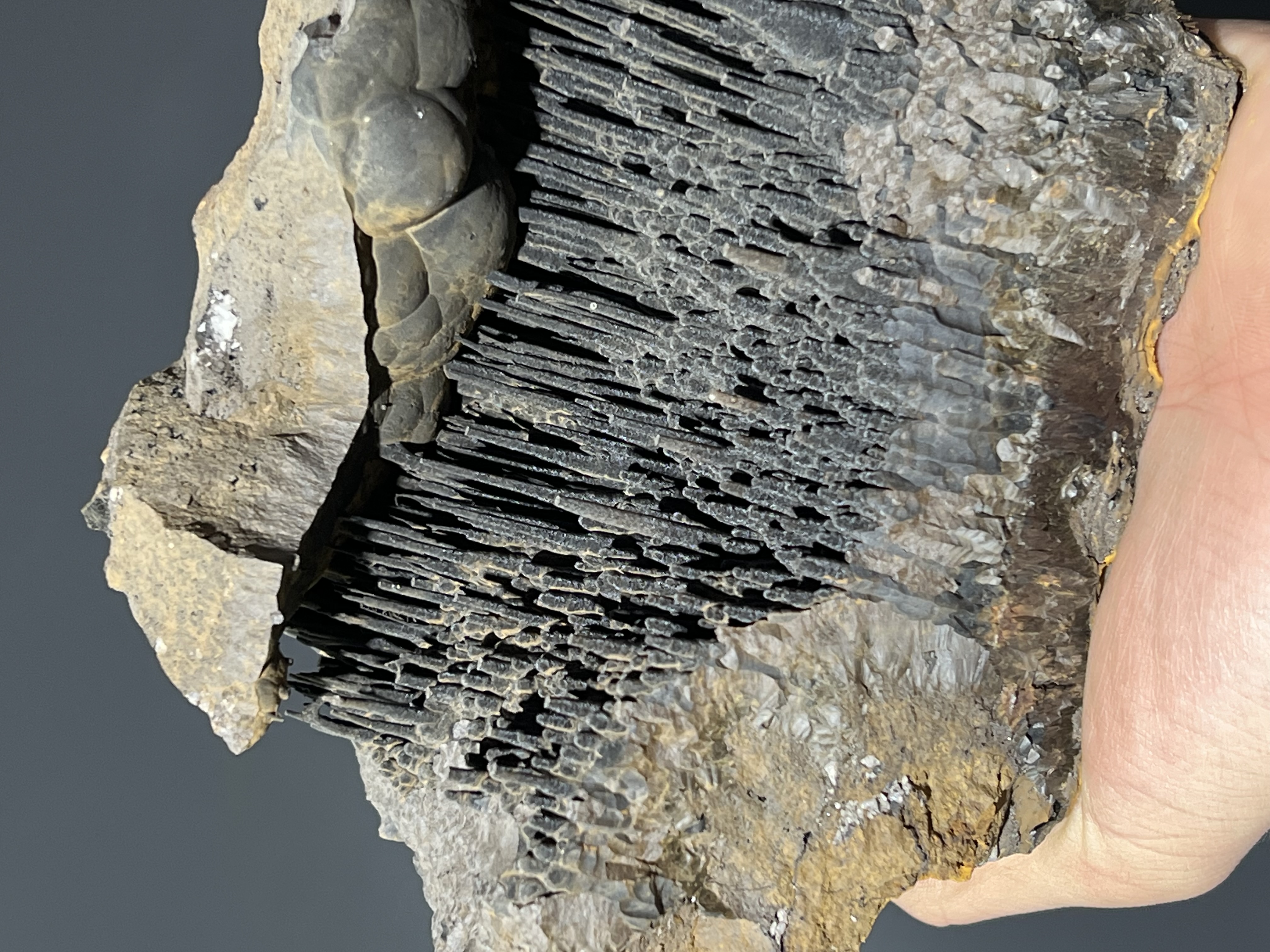 Museum Quality Stalactite Goethite