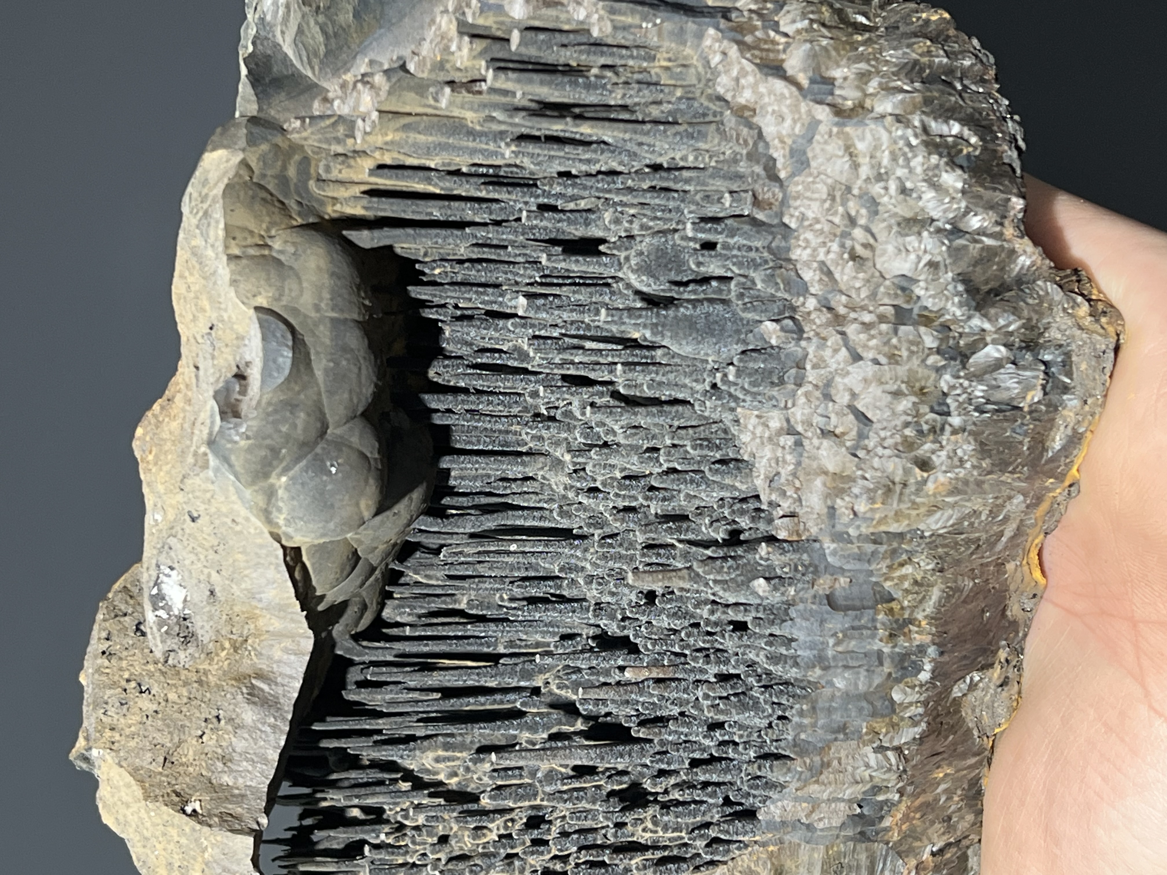 Museum Quality Stalactite Goethite