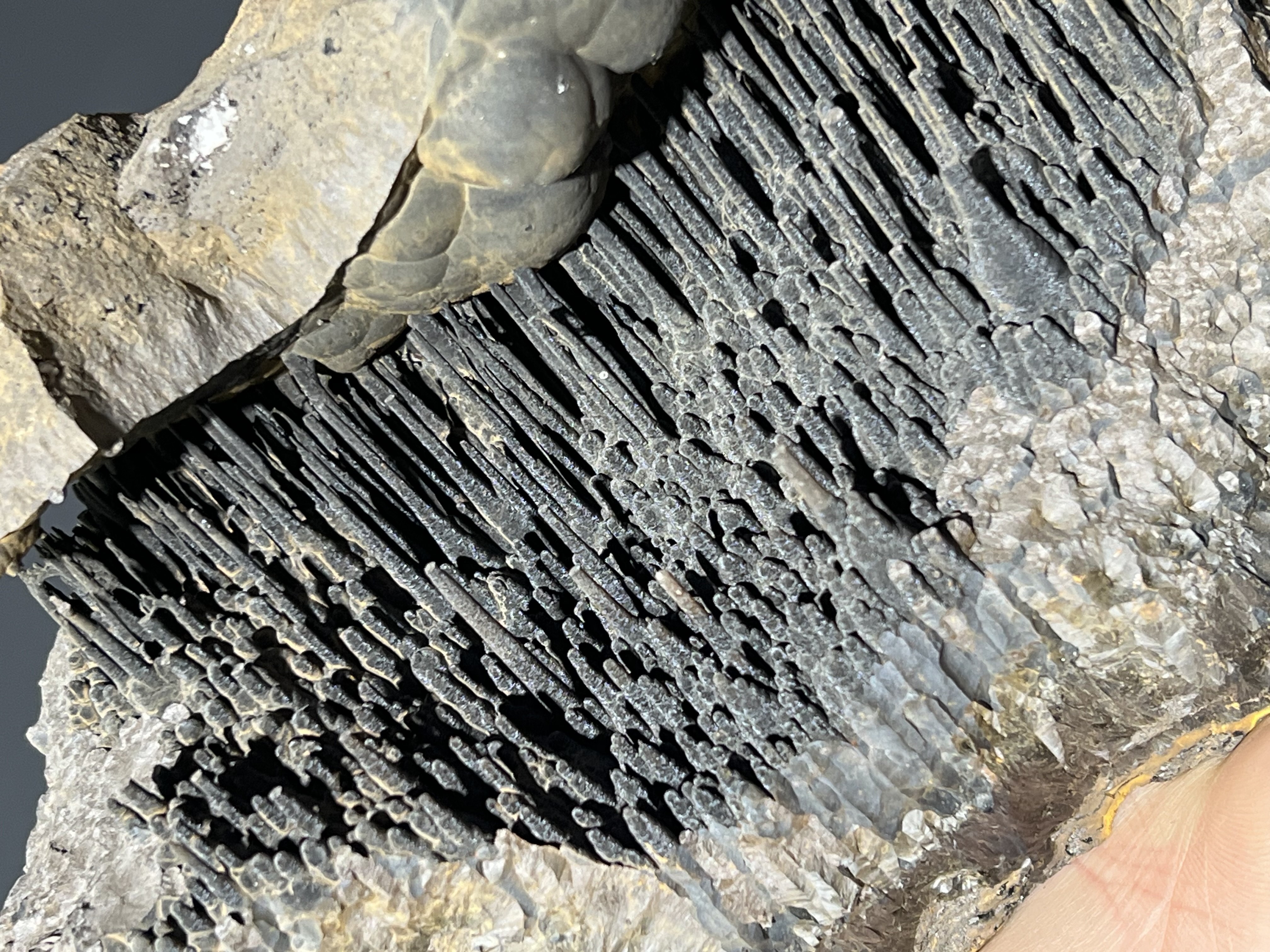 Museum Quality Stalactite Goethite
