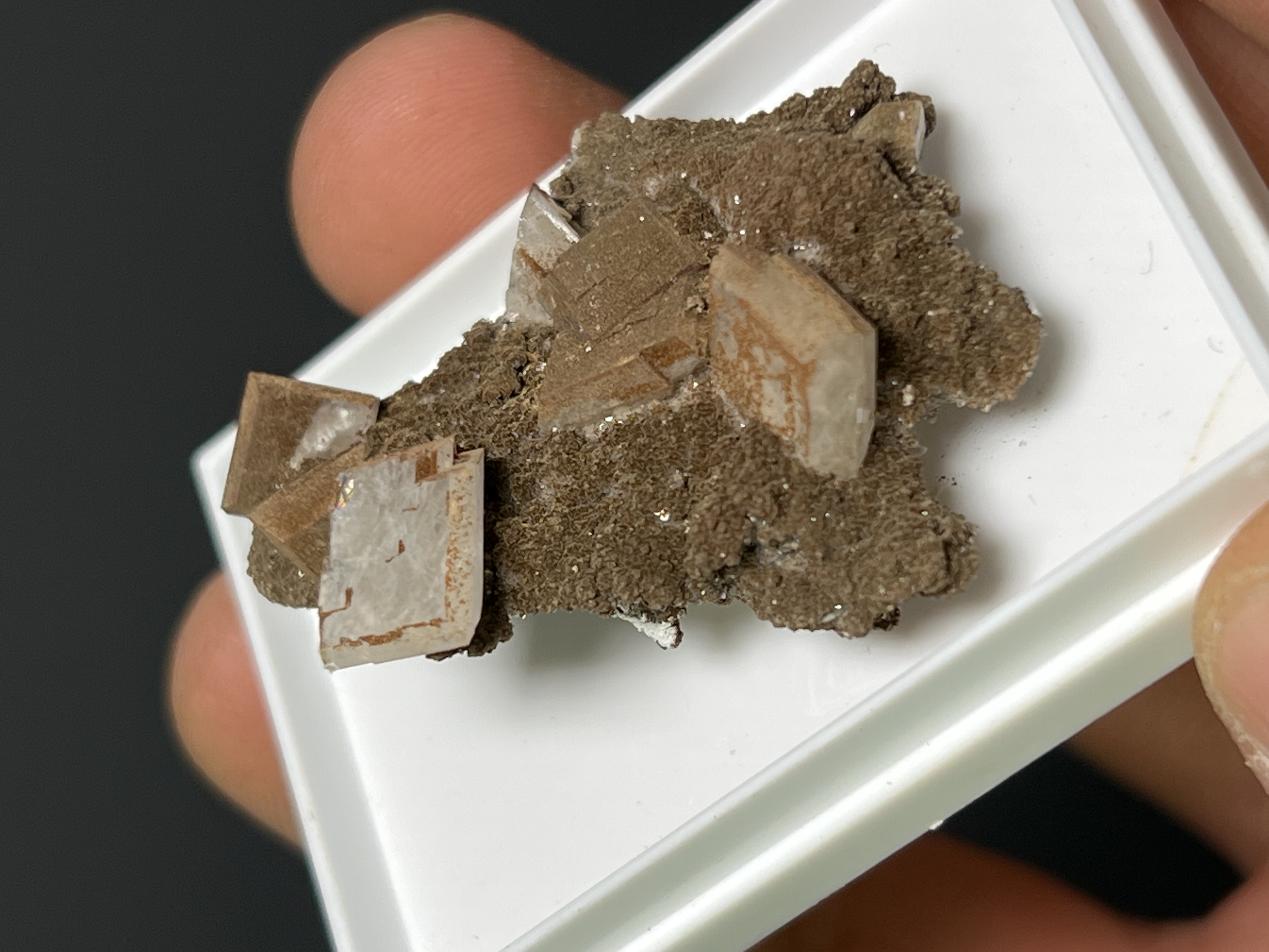 Beautiful Mangano Apophyllite Specimen