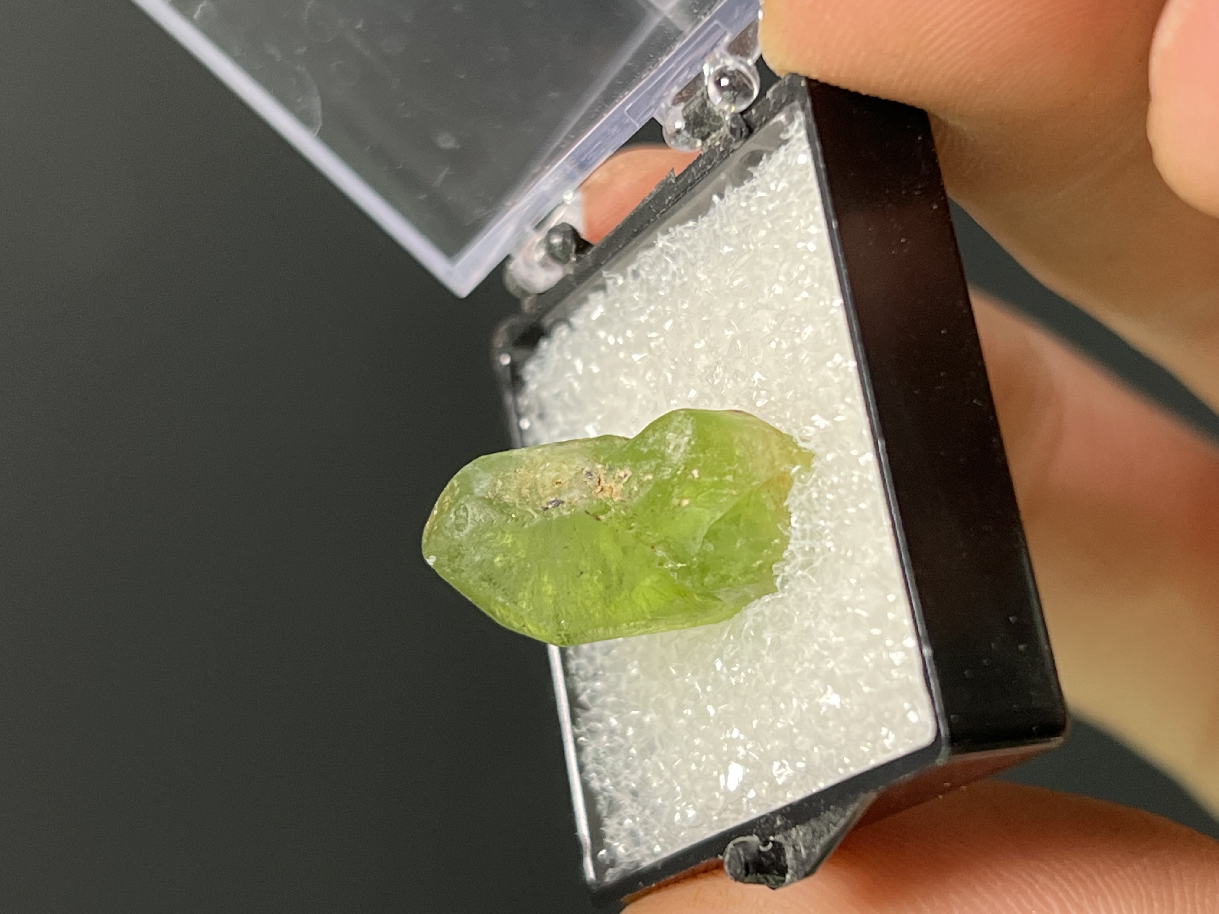 Special Forsterite Specimen