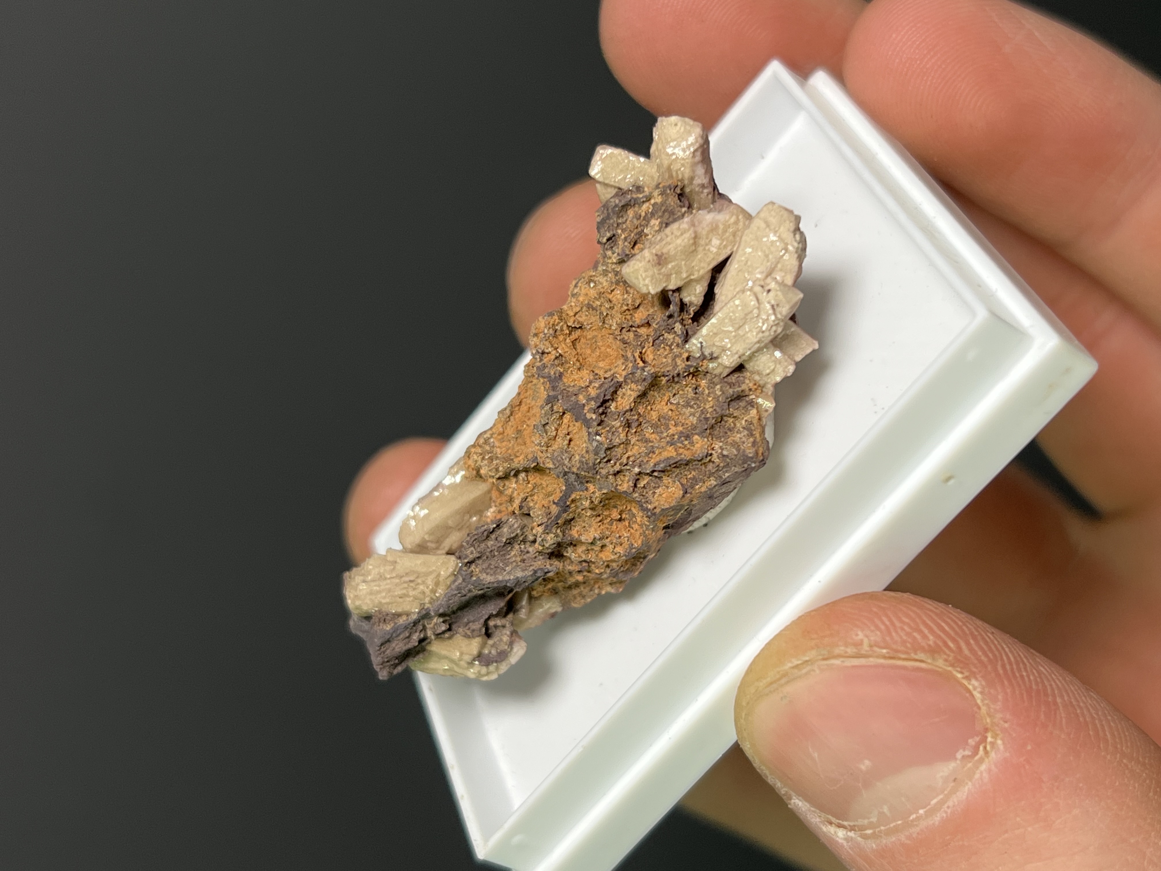 Very Rare And Unique Poldervaartite Specimen