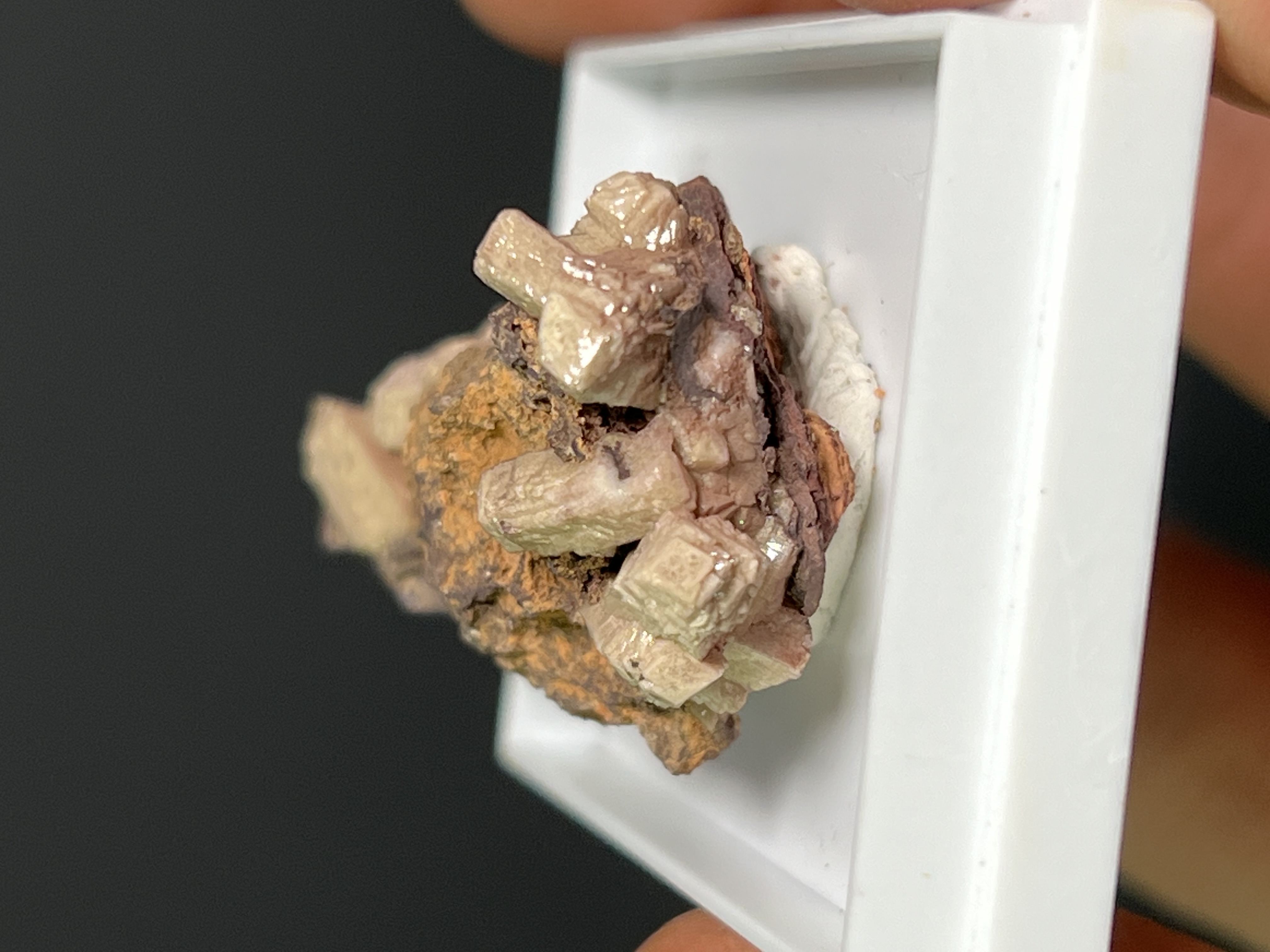 Very Rare And Unique Poldervaartite Specimen