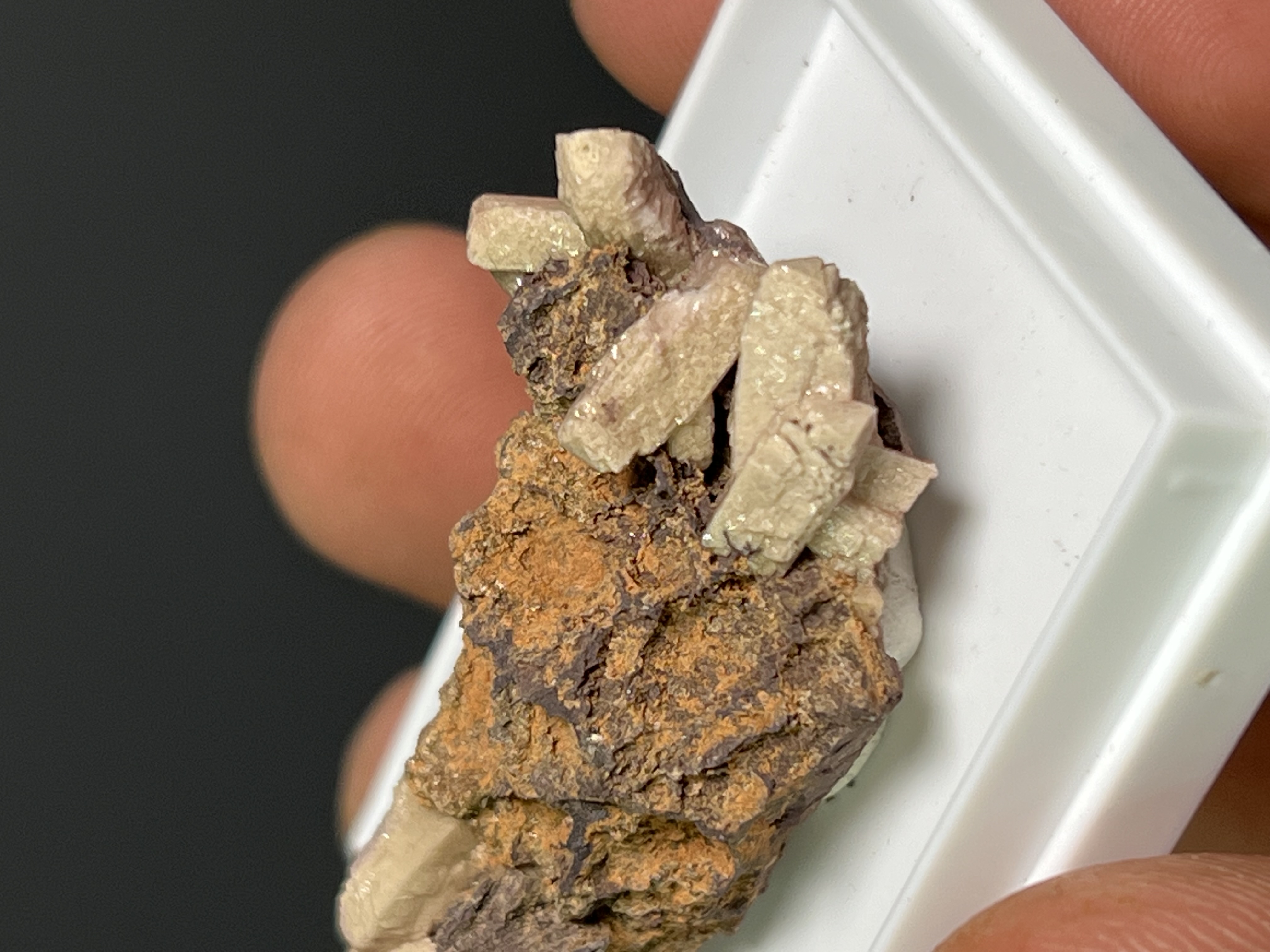 Very Rare And Unique Poldervaartite Specimen