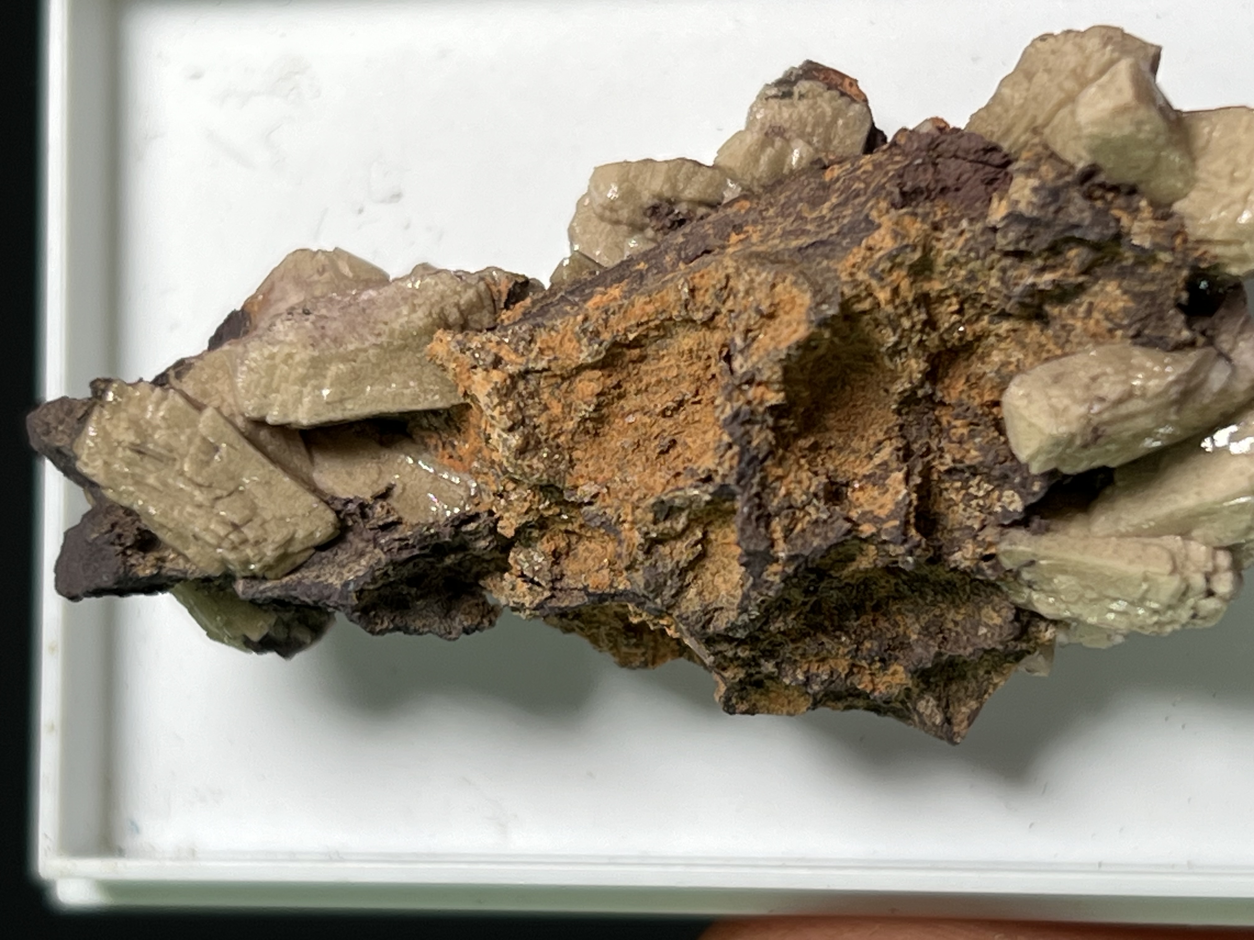 Very Rare And Unique Poldervaartite Specimen