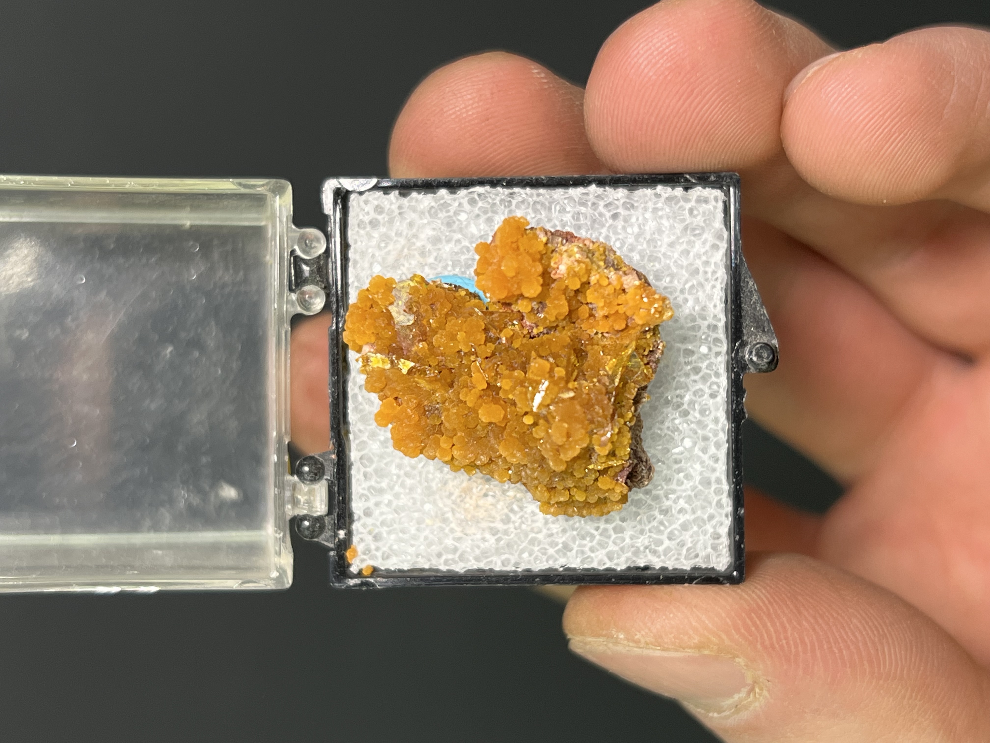 Museum Grade! Wulfenite On Mimetite Specimen