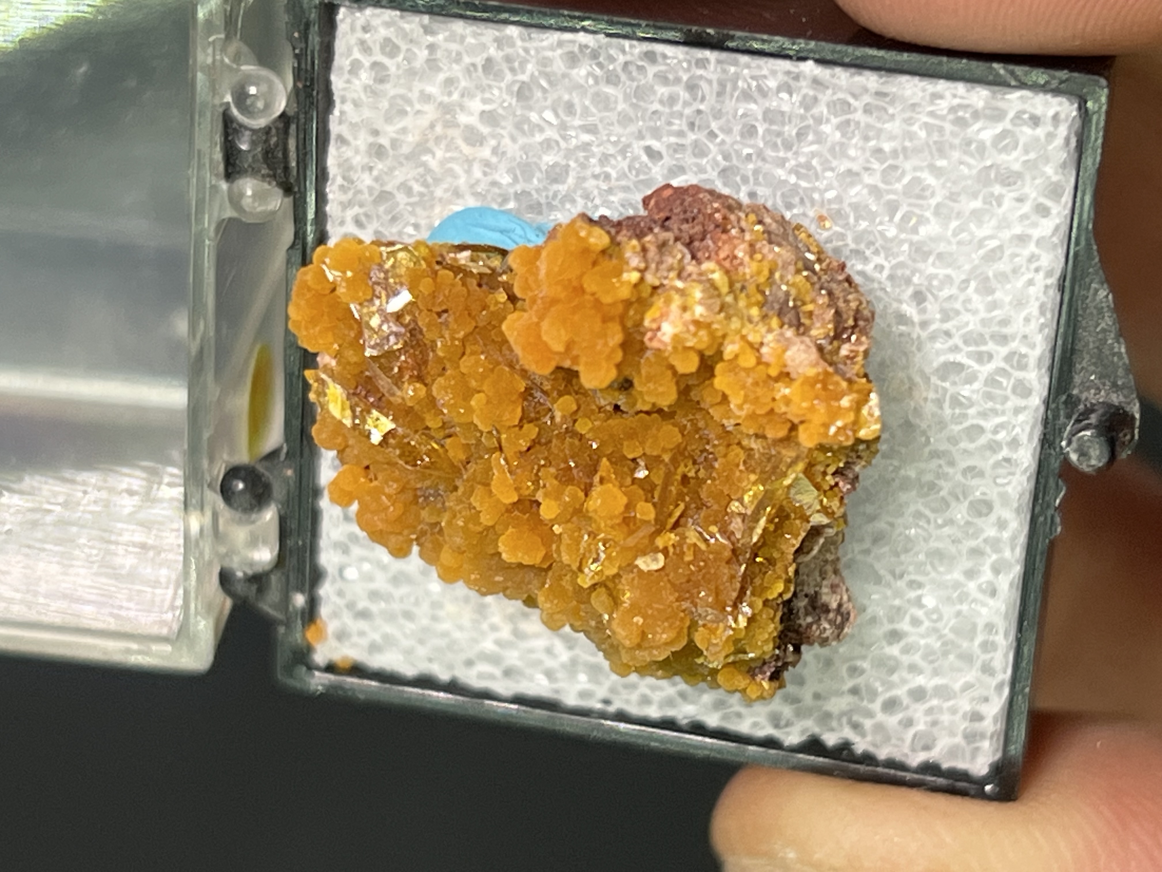 Museum Grade! Wulfenite On Mimetite Specimen
