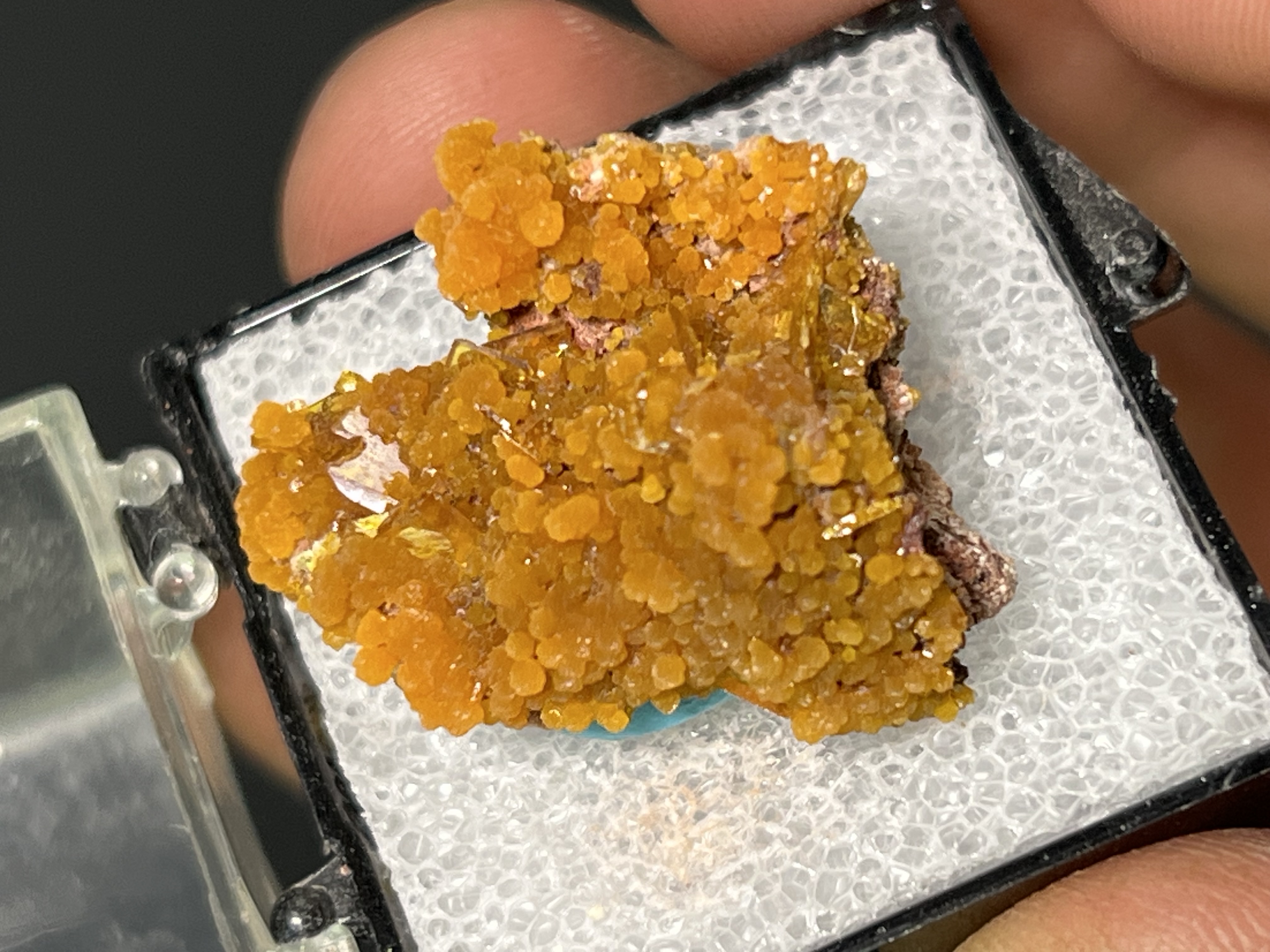 Museum Grade! Wulfenite On Mimetite Specimen