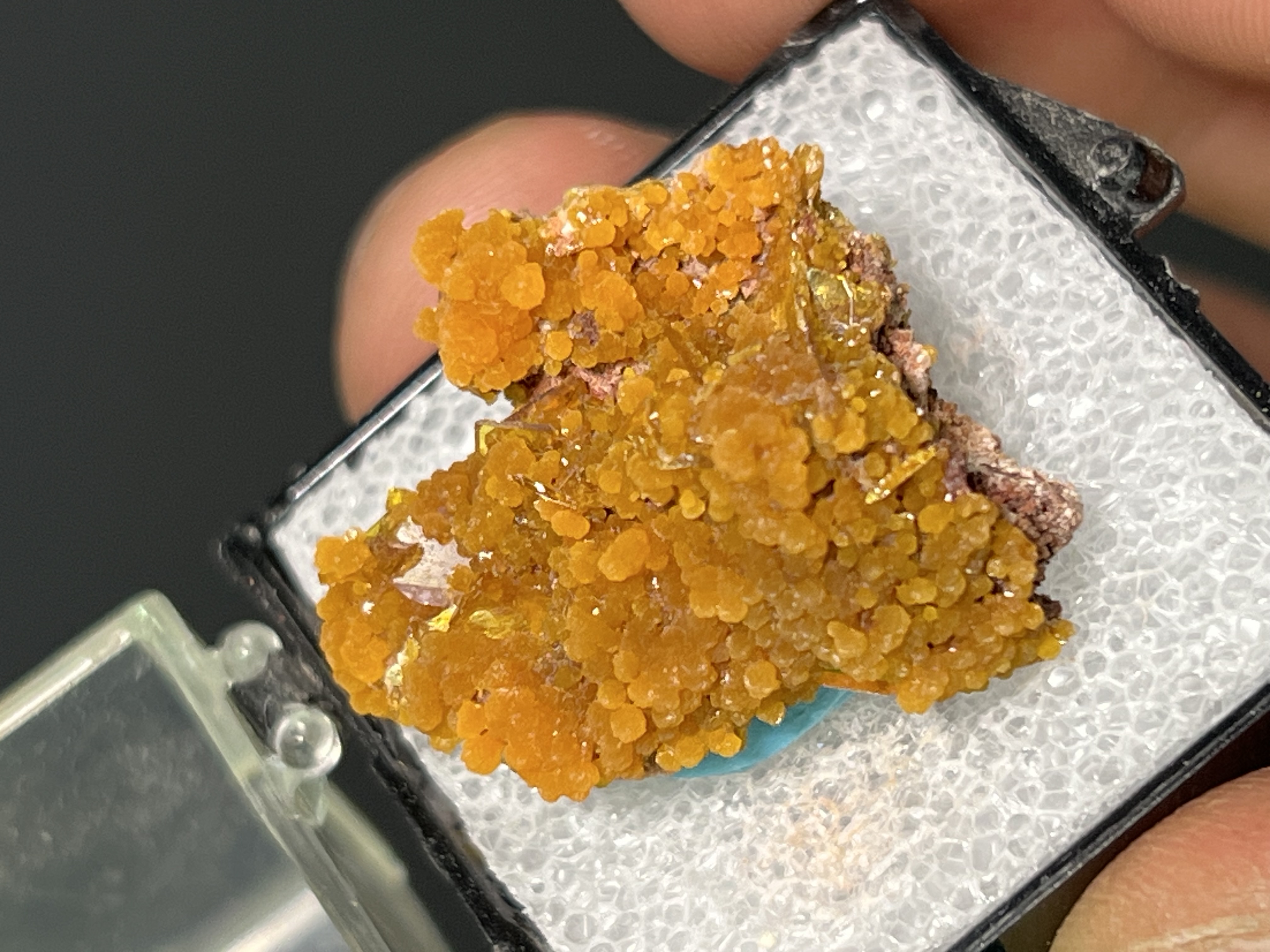 Museum Grade! Wulfenite On Mimetite Specimen