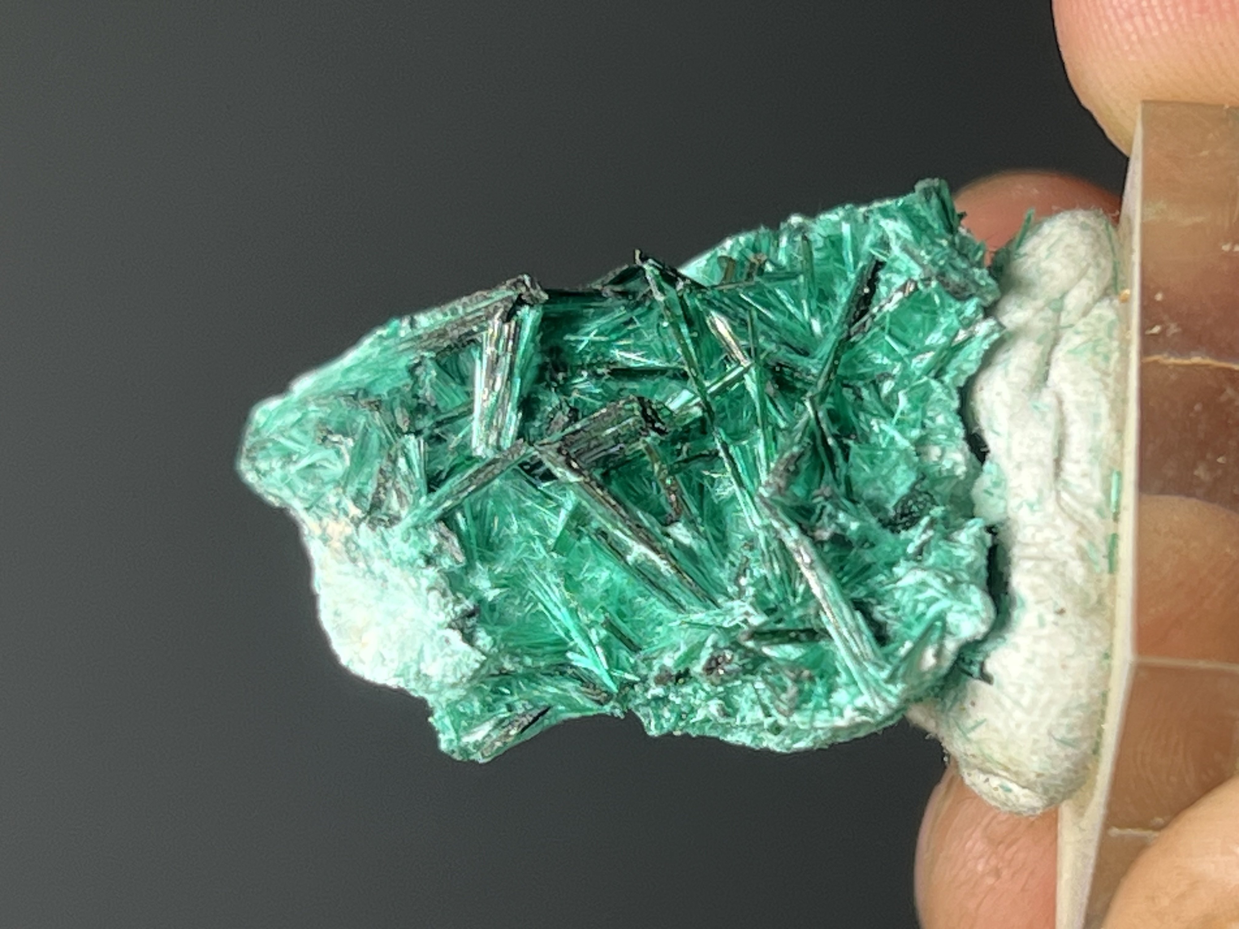 Special Borchantite Specimen