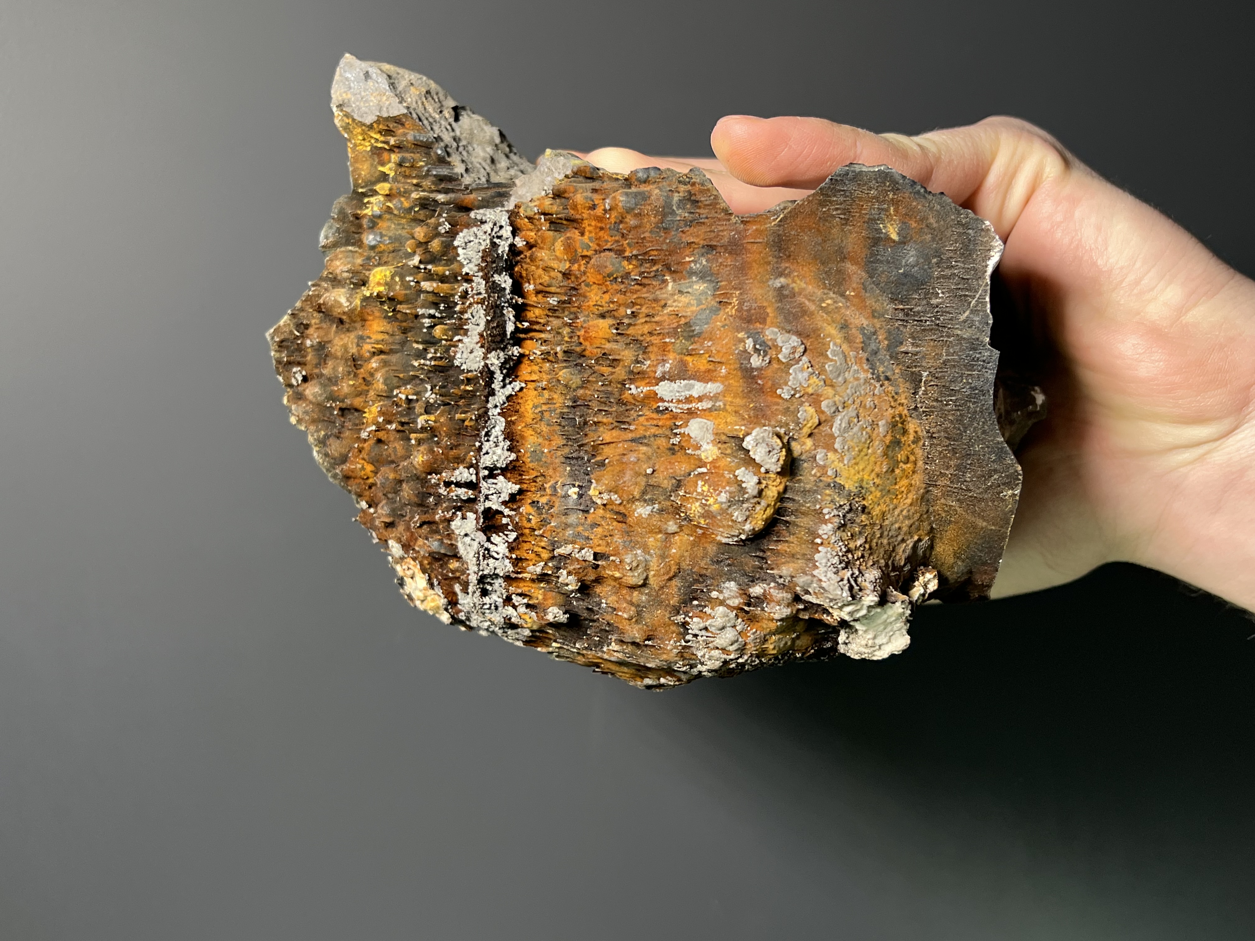 Museum Grade, Limonite And Specularite On Stalactite Goethite, 3,9kg