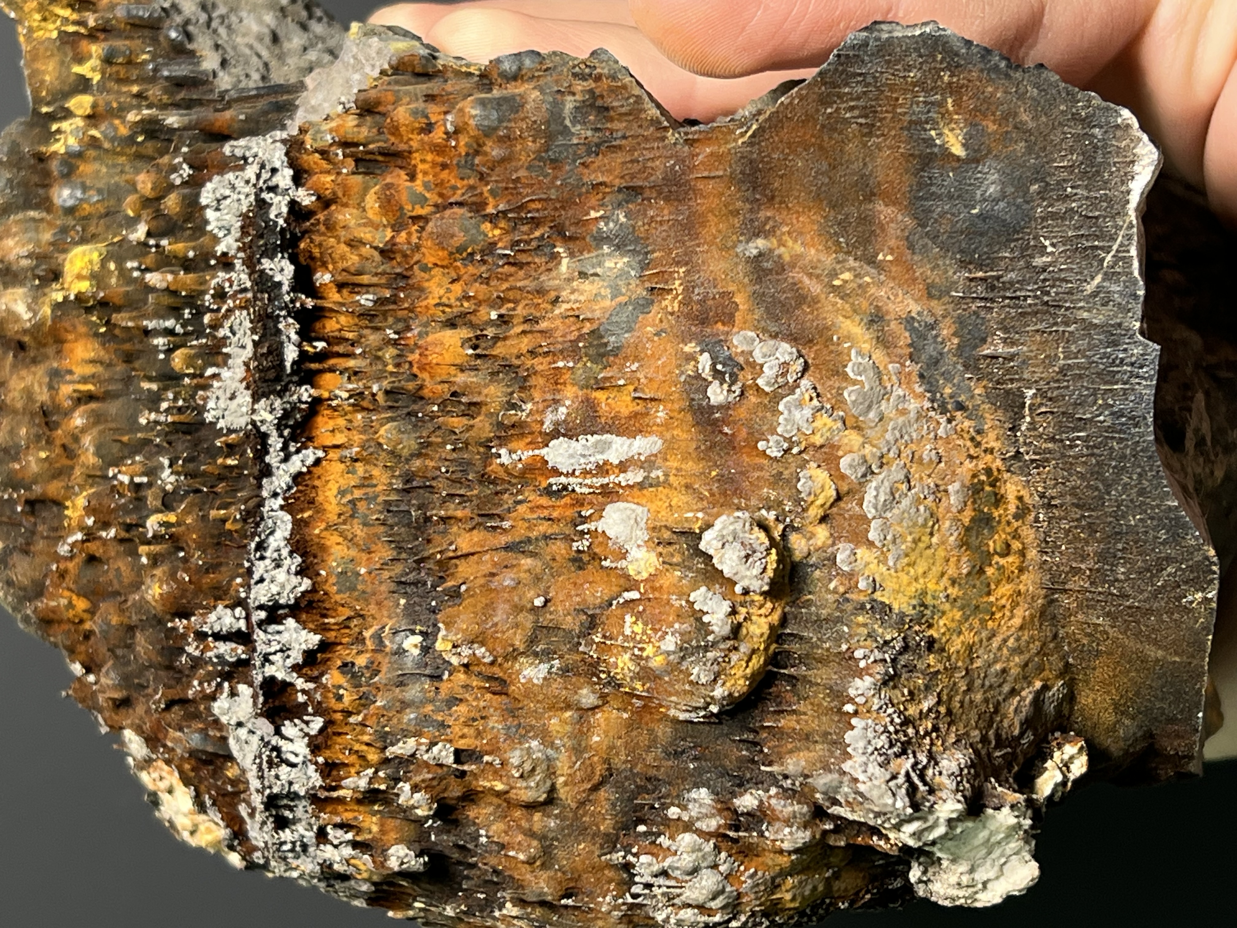 Museum Grade, Limonite And Specularite On Stalactite Goethite, 3,9kg